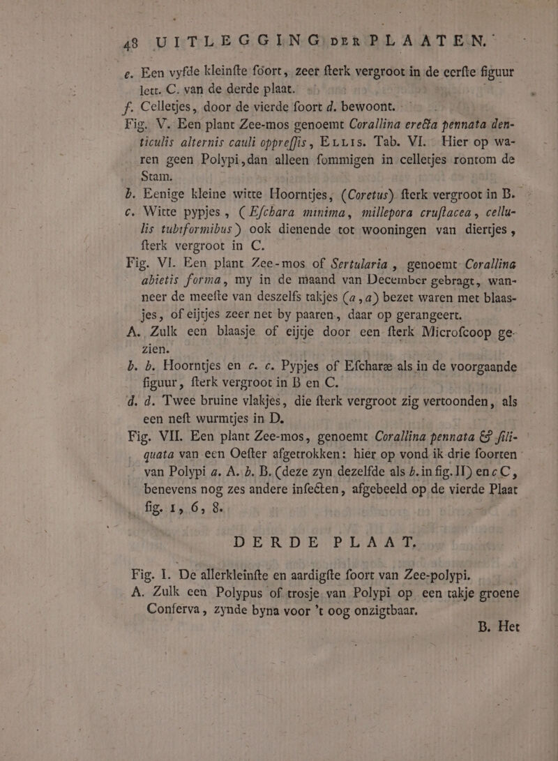 e. Een vyfde kleinfte foort „ zeer fterk vergroot in de eerfte figuur lett. C. van de derde plaat. f. Celletjes, door de vierde foort d. bewoont. Fig. V. Een plant Zee-mos genoemt Corallina ere@ta pennata den- _ticulis alternis cauli oppreffis, Euuis. Tab. VL. Hier op wa- ren geen Polypi,dan alleen fommigen in celletjes rontom de Stam. b. Eenige kleine witte Hoorntjes, (Coretus) fterk vergroot in B. - c. Witte pypjes , (Efchara minima, millepora cruftacea, cellu- — lis tubiformibus) ook dienende tot wooningen van diertjes , fterk vergroot in C. Fig. VL Een plant Zee-mos of Sertularia je genoemt Coraline abietis forma, my in de maand van December gebragt, wan- neer de meefte van deszelfs takjes (a a) bezet waren met blaas- jes, of eijtjes zeer net by paaren., daar op gerangeert. A. Zulk een blaasje of cijje door een fterk Microfcoop ge zien. b. b. Hoorntjes en c. c. Pypjes of Efcharee als in de KAorsants figuur , fterk vergroot in B en C, d. d. Twee bruine vlakjes, die fterk vergroot zig vertoonden, als een neft wurmtjes in D. Fig. VIL. Een plant Zee-mos, genoemt Coraltina pennata €5 filie quata van een Oefter afgetrokken: hier op vond ik drie foorten — van Polypi a. Ab. B. (deze zyn dezelfde als bin fig. ID) enc C, benevens nog zes andere infeéten, afgebeeld op de vierde Plaat fig. 1,6, 8. DIER DEB: 1 A Ang Fig. 1. De allerkleinfte en aardigfte foort van Zee-polypi. A. Zulk een Polypus of trosje. van Polypi op een takje groene Conferva, zynde byna voor ’t oog onzigtbaar. | | B. Het