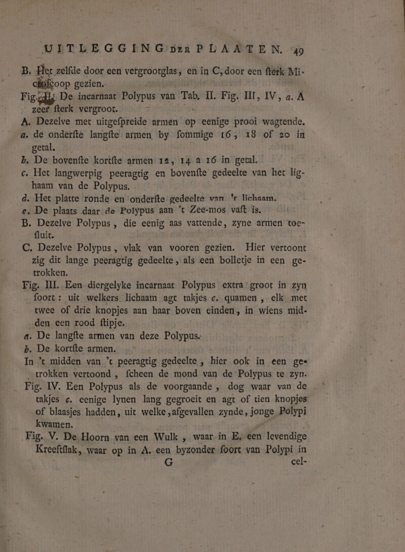 B. Her zelfde door een VeRO en in C; door een frerk Mi- cifcoop gezien. Fig-gllj De incarnaat Polypus van Tab, IL Fig. II, IV, a. A zeef fterk vergroot. Ei A. Dezelve met uitgefpreide armen op eenige prooi wagtende, a. de onderfte langfte armen by fommige 16, 18 of 2o in getal. bh. De bovenfte kortfte armen 12, 14 à 16 in getal. c. Het langwerpig peeragtig en bovenfte gedeelte van het lig- haam van de Polypus. d. Het platte ronde en onderfte gedeelte van * lichaam. e. De plaats daar de Polypus aan ’t Zee-mos vaft is, B. Dezelve Polypus , die eenig aas vattende, zyne armer toe- fluit. C, Dezelve Polypus, vlak van vooren gezien. Hier vertoont zig dit lange peeragtig gedeelte, als een bolletje in een ge- trokken. Fig. IL Een diergelyke incarnaat Polypus extra groot in zyn foort: uit welkers lichaam agt takjes c. quamen , elk met twee of drie knopjes aan haar boven einden, in wiens mid- den een rood ftipje. a. De langfte armen van deze Polypus. b. De kortfte armen. In ’t midden van ’t peeragtig gedeelte „ hier ook in een gee _ trokken vertoond , fcheen de mond van de: Polypus te Zyn. takjes c. eenige Iynen lang gegroeit en agt of tien knopjes of blaasjes hadden, uit welke „afgevallen zynde, jonge Polypi kwamen. Fig. V. De Hoorn van een Wulk „ waar in E‚ een levendige Kreeftflak, waar op in A. een byzonder foort van Polypi in G cel.