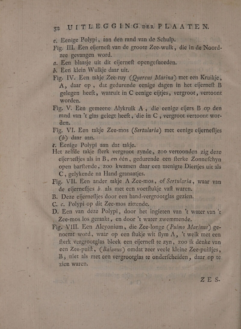 UCTE EGG EN:G per PLSAA TEN, c. Eenige Polypi, aan den rand van de Schulp. Fig. IIL Een cijerneft van de groote Zee-wulk, die in de Noord- zee gevangen word. : u. Een blaasje uit dit eijerneft opengefneeden. b. Een klein Wulkje daar uit. , Fig. IV. Een takje Zee-ruy (Quercus Marina) met een Kruikje, A, daar op , dat gedurende eenige dagen in het eijerneft B gelegen heeft, waaruit in C eenige eijtjes, vergroot, vertoont worden. Fig. V. Een gemeene Alykruik A, die eenige eijers B op den Hee van ’t glas gelegt Rie in ai ‚ vergroot vertoont wor- den, Fig. VI. Een takje Zee-mos (Sertularia) met eenige ° cijerneftjes (5) daar aan. €. Eenige Polypi aan dat takje. Het zelfde takje fterk vergroot zynde, zoo vertoonden zig deze eijerneftjes als in B, en één, gedurende een-fterke Zonnefchyn open barftende , zoo braden daar-een menigte Diertjes uit als C, gelykende na Hand-granaatjes. Fig. VII. Een ander takje A Zee-mos, of Sertularia, waar van de eijerneftjes hb. als met een voetftukje vaft waren. B. Deze eijerneftjes door een hand-vergrootglas gezien. C. c. Polypi-op dit Zee-mos zittende. | D. Een van deze Polypi, door het ingieten van * water van ’% ‚_Zee-mos los geraakt, en door ’t water zwemmende. Fig. VIJL. Een Alcyonium, die Zee-longe (Pulmo Marinus) ge- noemt word, waar op een ftukje wit flym A, ’ welk met een fterk vergrootglas bleek een eijerneft te zyn, zoo ik denke van een Zee-puift, (Balanus) omdat zeer veele kleine Zee-puiftjes, B; niet als met een vergrootglas te onderfcheiden, daar op te zien waren. | fi En ZE S.
