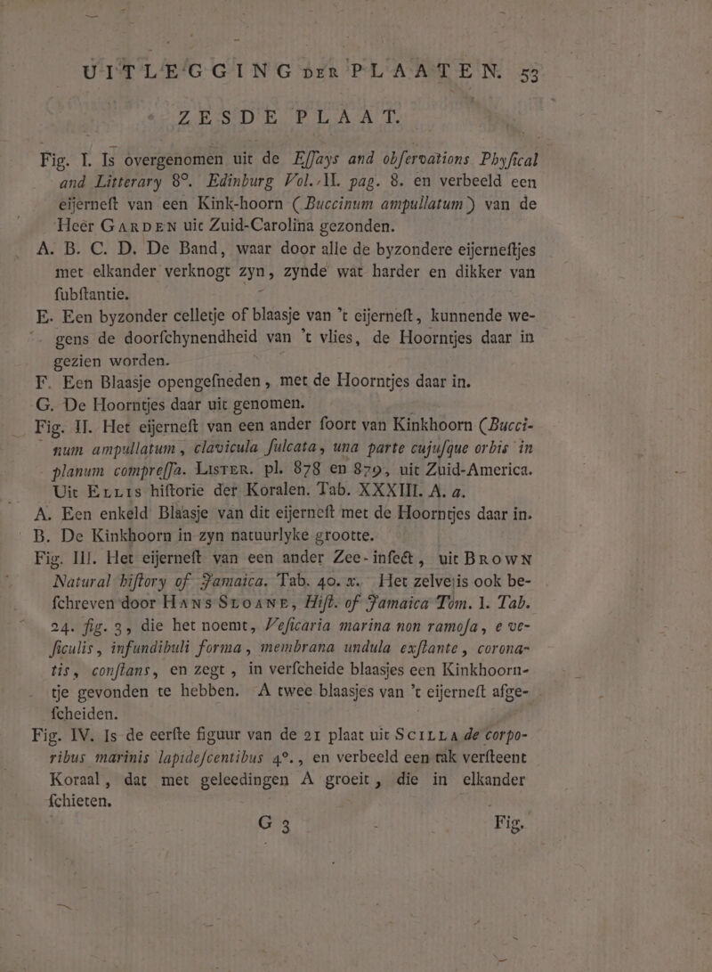 ZESDE PLAAT. Fig. IL Is overgenomen uit de EfJays and obfervations Phyfical and Lîtterary 8°. Edinburg Vol. pag. 8. en verbeeld een eijerneft van een Kink-hoorn ( Buccinum ampullatum) van de Heer GARDEN uic Zuid-Carolina gezonden. A. B. C. D. De Band, waar door alle de byzondere eijerneftjes met elkander verknogt zyn, zynde wat harder en dikker van fubftantie. Er E. Een byzonder celletje of blaasje van ’t eijerneft, kunnende we- gens de doorfchynendheid van °t vlies, de Hoorntjes daar in gezien worden. F. Een Blaasje opengefneden , met de Hoorntjes daar in. G. De Hoorntjes daar uit genomen. Fig. 11. Het eijerneft van een ander foort van Kinkhoorn (Bucci- num ampullatum , clavicula fulcata, una parte cufufque orbis in planum compre(Ja. Laster. pl. 878 en 879, uit Zuid-America. Uit Eruris hiftorie der Koralen. Tab. XXXIII. A. a. A. Een enkeld’ Blaasje van dit eijerneft met de Hoorntjes daar in. B. De Kinkhoorn in zyn natuurlyke grootte. Fig. II. Het eijerneft van een ander Zee-infet, uit BROWN ‘Natural hiftory of Jamaica. Tab. 40. x. Het zelvesis ook be- fchreven door Hans Sroane, Hift. of Famaica Tom. 1. Tab. 24. fig. 3, die het noemt, Veficaria marina non ramofa, e ve- ficulis, infundibuli forma, membrana undula exftante , corona tis, conflans, en zegt, in verfcheide blaasjes een Kinkhoorn- tje gevonden te hebben. A twee blaasjes van ’ eijerne{t afge- fcheiden. | Fig. IV. Is de eerfte figuur van de or plaat uit Scrrrade corpo- ribus marinis lapidefcentibus 4°., en verbeeld een rak verfteent Koraal, dat met geleedingen A groeit, die in elkander Schieten, | G 3 À Fig,