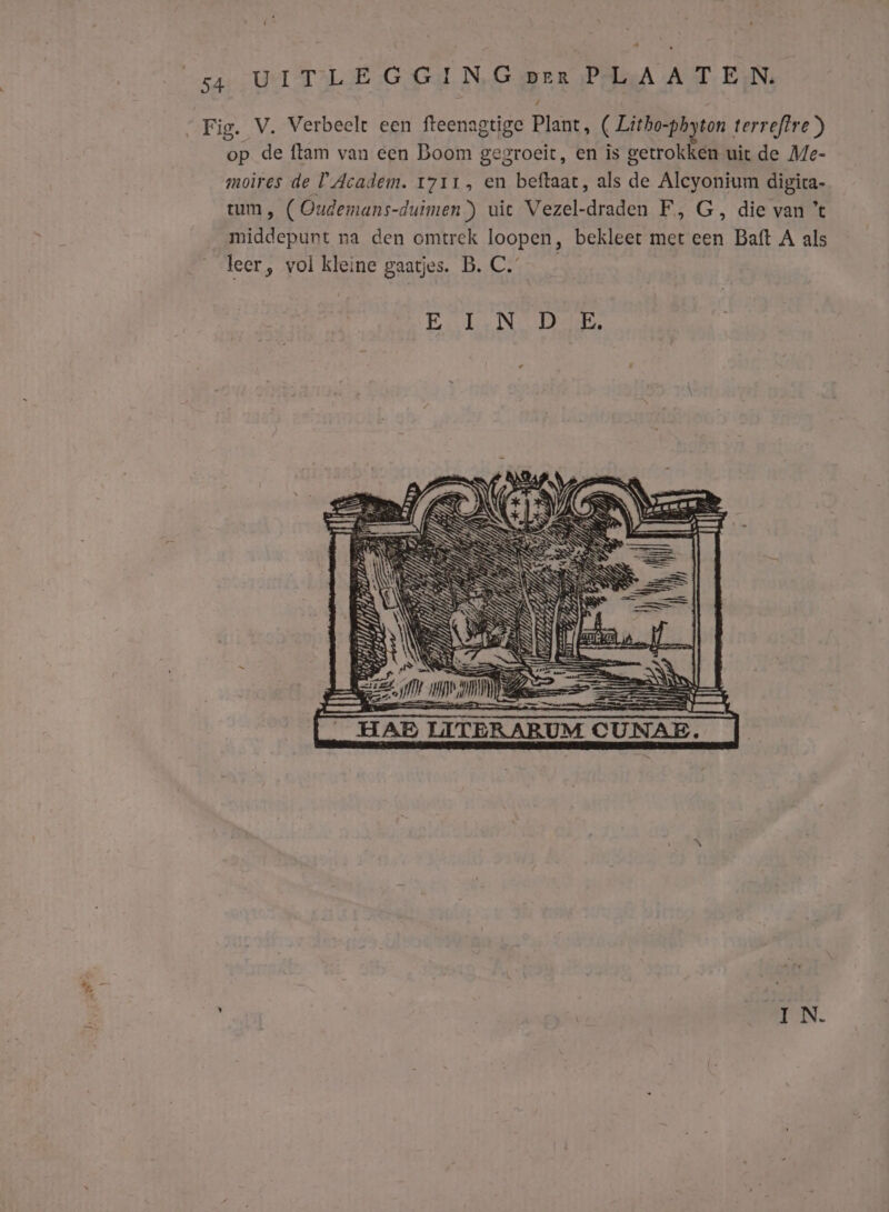 ko Fig. V. Verbeelt een fteenagtige Plant, ( Litho-phyton terreftre ) op de ftlam van een Boom gegroeit, en is getrokken uic de Me- moires de ’Academ. 1711, en beftaat, als de Alcyonium digira- tum, (Oudemans-duimen) uiet Vezel-draden F, G, die van ’% middepunt na den omtrek loopen, bekleet met een Baft A als leer, vol kleine gaatjes. B. C. …