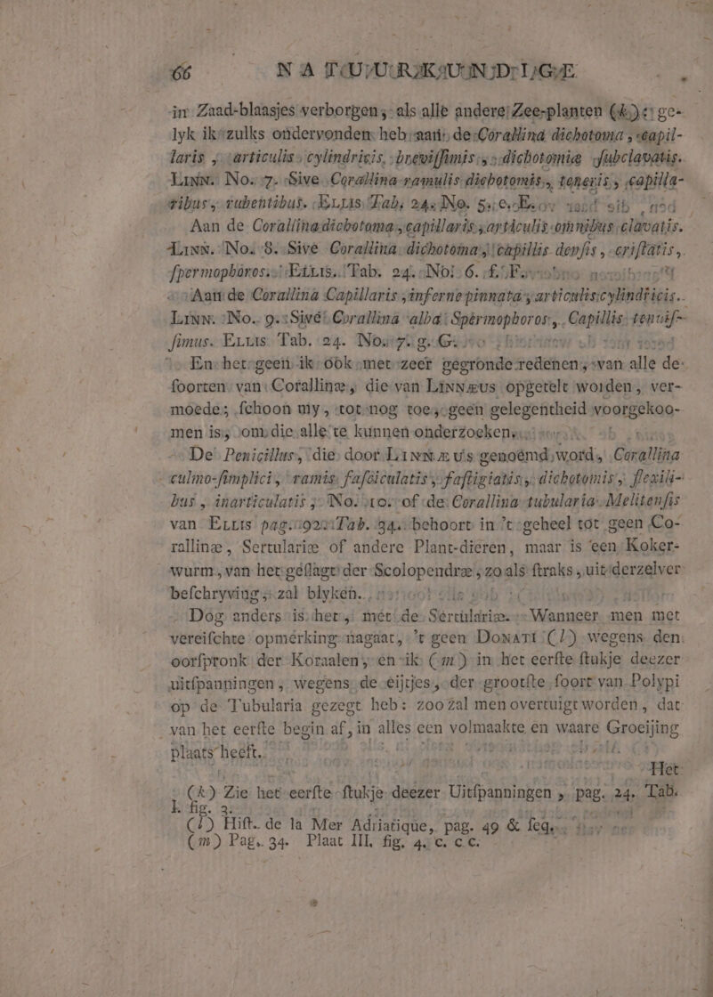 im Zaad-blaasjes verborgen s-als alle andere; Zee-planten (d)srge= Iyk ikezulks ondervondem: hebaari:, desCorallind dichotoma , séapil- laris „varticulis, cylindrigis, „brewijfimâs;ssdichotomie „fubclavatis. Linn. No. 7. ‘Sive Corallina-raanulis-dichotomis, EN taneris, „capilla- vibus, tubentibur. Erqs Fab; 24 dNO. 5seubeor voot stb nod Aan de Corallinadichotoma capillaris. zarticulis omnibus, clavatis. | Tann. Nou8.:Sive Corallina: ee, def is: erjflanis, fpermapbûrosss::Etris.. Tab. 24, No! 6. For naioih:5'U vAamde Corallina Capillaris „infernepinnatayar tientis eylindti ieis.. alen ‚No. g.1Siver Corallina «alba: reiden 05’, ht: grif Jimus. Erus Tab. 24. Norg ita - Bisthijter jo En: heergeen ikook „met-zeer gegronde zelihens avan vallf lies foorten. van: Coralline.„ die van Linneus. opgetelt worden, ver- moedes ‚fchoon my, totnog toezvgeen gelegentheid worgëkog- men iss vonvdiesalle‘te kunnen onderzoeken ve 7 De Penicillus, “dies doof Lanna vs genoëmd,word., Gratin _culmosfimplici; ramis: fafsiculatis’s-faftigiatis:,. dichotomis ; flezili- bus „ inarticulatis 3 No: zor of de: Corallina tubularia--Melitenfis van Eris pagenoorTab. gage behoort in ’tsgeheel tot geen Co- ralline , Sertulariee of andere Plant-dieren, maar is ‘een/Koker- wurm, van her geflage der rapide: zoals fine puike derzelver befchryving;-zal blyken., gorie cob 2 f 251 Dog anders vis:her; mét! bie redden hnaacht men met Vikan opmerking-magaat, ’t geen Donart (1) wegens. den: ootfpronk. der Koraalen „en sik» Car) in het eerfte ftukje deezer vitfpaaningen ‚wegens, de €ijtjes,„-der grootte „foort van Polypi op de Tubularia gezegt. heb: zoo zal men overtuigt worden, dat: van het eerfte begin af, in alles cen ì volmaakte en waare reling plaatsheeft. Bement ket eddie zalk: 1) Ae z, Zie het sit fue akiher Uitfpanningen &gt; pes 4 Tab. 5 Lift. de ta Mer Adha ue, pa &amp; leges 4» Cri) Pag. 34- Plane INL aide, P E09 &amp; lege A EN