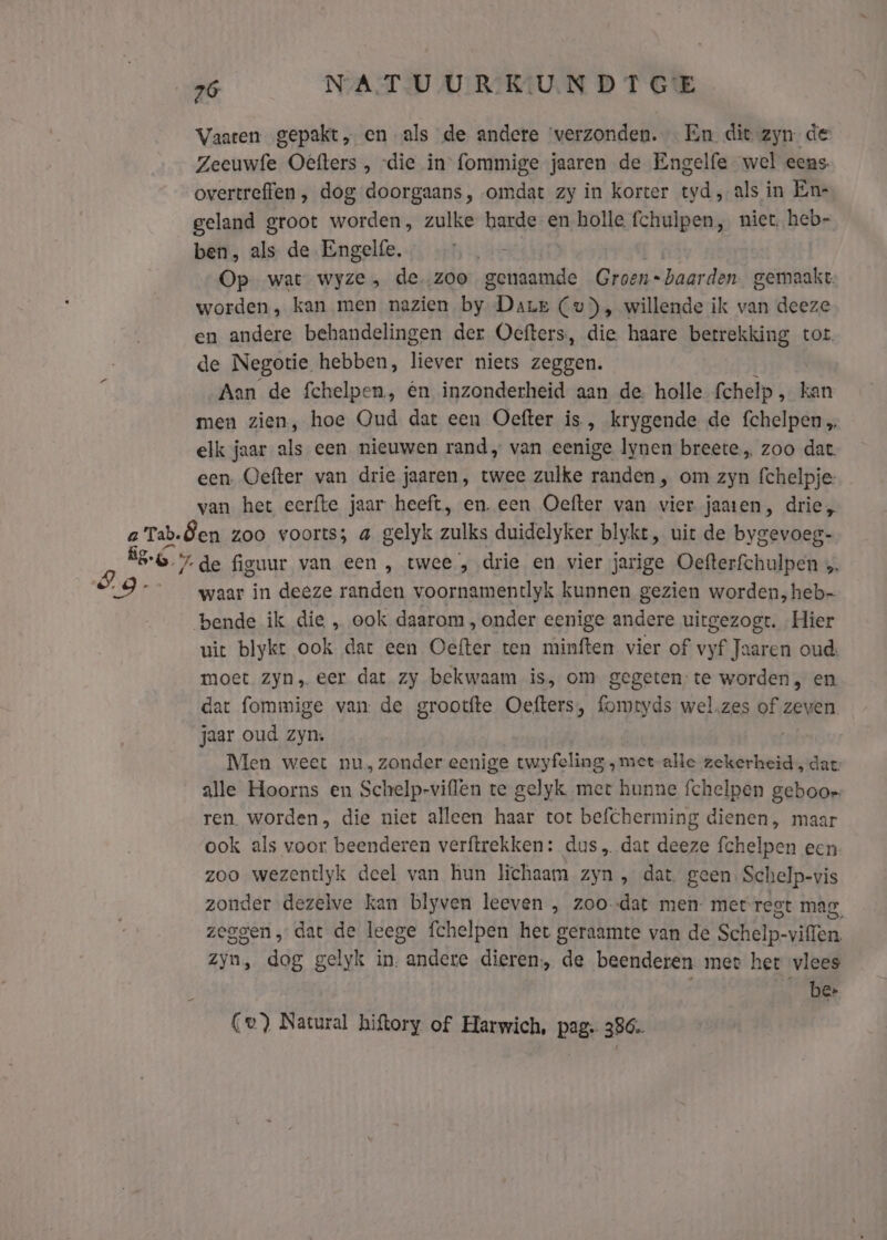 Vaaren gepakt, en als de andere ‘verzonden. En dit zyn de Zeeuwfe Oefters , “die in fommige jaaren de Engelfe wel eens. overtreffen, dog doorgaans, omdat zy in korter yd, als in En- geland groot worden, zulke harde en holle fchulpen, niet. heb- ben, als de Engelfe, | Op wat wyze, de. zoo genaamde Groen= baarden gemaakt. worden, kan men nazien by Dare (wv), willende ik van deeze en andere behandelingen der Oefters, die. haare betrekking tot de Negotie hebben, liever niets zeggen. Aan de fchelpen., én inzonderheid aan de. holle Schelp , kan men zien, hoe Qud dat een Oefter is, krygende de fchelpen elk jaar als een nieuwen rand, van eenige lynen breete,„ zoo dat een. Oefter van drie jaaren, twee zulke randen , om zyn fchelpje- van het eerfte jaar heeft, en. een Oefter van vier jaaten, drie, waar in deéze randen voornamentlyk kunnen gezien worden, heb- uit blyket ook dat een Oefter ten minften vier of vyf Jaaren oud. moet zyn, eer dat zy bekwaam is, om gegeten; te worden, en dat fommige van de grootfte Oefters, fomeyds wel.zes of zeven jaar oud zyn, | Men weet nu, zonder eenige twyfeling „met -alle zekerheid, dar: alle Hoorns en Schelp-viflen te gelyk mert hunne fchelpen geboor ren. worden, die niet alleen haar tot befcherming dienen, maar ook als voor. beenderen verftrekken: dus „ dat deeze fchelpen een zoo wezentlyk deel van hun lichaam zyn , dat. geen Schelp- -vis zonder dezelve kan blyven leeven , zoodat men- mer rest mag, zeggen, dat de leege fchelpen het geraamte van de Sahin: viffen. Zyn, had gelyk hi andere dieren, de beenderen mee her vlees gf Cv) Natural hiftory of Harwich, pag. 386.