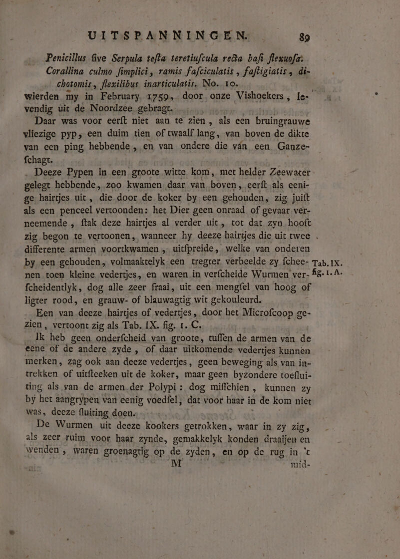Penicillus five Serpula tefta teretiufcula rella bafì flexuofas Corallina culmo fimplici , ramis fafciculatis , faftigiatis , di- chotomis, flexilibus inarticulatis, No. ro. wierden my in February. 1759, door onze Vishoekers, Ie- vendig uit de Noordzee gebragt. … Daar was voor eerft niet aan te zien, als een rated vliezige pyp‚ een duim tien of twaalf lang, van boven de dikte van een ping hebbende , en van ondere die ván een Ganze- fchagt. Deeze Pypen in een groote witte kom, met helder Zeewater gelegt hebbende, zoo kwamen daar van boven, eerft als eeni- ge hairtjes uit, die door de koker by-een gehouden, zig juift als een penceel vertoonden: het Dier geen onraad of gevaar ver- neemende „ ftak deze hairtjes al verder uit, tot dat zyn hooft zig begon te vertoonen, wanneer hy deeze hairtjes die uit twee . differente armen voortkwamen „ uitfpreide, welke van onderen by een gehouden, volmaaktelyk. een tregter verbeelde zy {chee- Tab. 1x. nen toen kleine vedertjes, en waren in verfcheide Wurmen ver f8- 1-A- fcheidentlyk, dog alle zeer fraai, uit een mengfel van hoog of ligter rood, en grauw- of blauwagtig wit gekouleurd. Een van deeze hairtjes of vedertjes , door het Microfcoop ge- zien, vertoont zig als Tab. LX. fig. 1. C. Ik heb geen onderfcheid van groote, tu{len de armen van de eene of de andere zyde , of daar uitkomende vedertjes kunnen merken, zag ook aan deeze vedertjes, geen beweging als van in- trekken of uitfteeken uit de koker, maar geen byzondere toeflui- ting als van de armen.der Polypi : dog miffchien , kunnen zy by het aangrypen van eenig voedfel, AE voor haar i in n de kom niet was, deeze fluiring, doen. De Wurmen uit deeze kookers getrokken, waar in Zy zig als zeer ruim voor haar zynde, gemakkelyk konden draaijen 4 wenden , waren groenagtig, op de zyden, en op de rug in ' M mid-