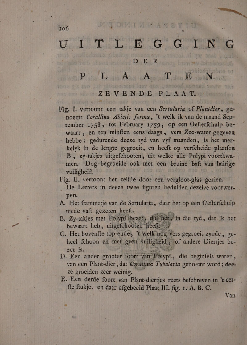 erdee Eion eN: Dia Ke R en Pins Luis Ans gene oto Hand. ZEVENDE sages | Fig. I. vertoont een takje van een Sertularia of Plantdier, ge- noemt Corallina Abietis forma, 't welk ikvan de maand Sep- tember 1758, tot February 1759, op een Oefterfchulp be- waart , en ten minften eens daags , vers Zee-water gegeven hebbe : gedurende deeze tyd van vyf maanden, is het mer- kelyk in de lengte gegroeit, en heeft op verfcheide plaatfen B, zy-takjes uitgefchooten, uit welke alle Polypi voortkwa- men. Dog begroeide ook met een bruine baft van hairige vuiligheid. Fig. IL vertoont het zelfde door een veihsar: bias gezien, _ De Letters in deeze twee figuren beduiden dezelve voorwer- pen. A. Het ftammetje van de Sertularia, dear het op een Gefterfchulp mede valt Bedert heeft. N eh heb, geoon beet) C. Het bovenfte top-endes, ’t welk nóg Vers gegroeit zynde, ge- zet is. D. Een ander grooter foort” van. sPbiypt, die beginfels waren, van een Plant-dier, dat Corallina Tubularia genoemt word; dee- ze groeiden zeer weinig. fte ftukje, en daar afgebeeld Plaat III fig. 1- A, B. C. Van ha a