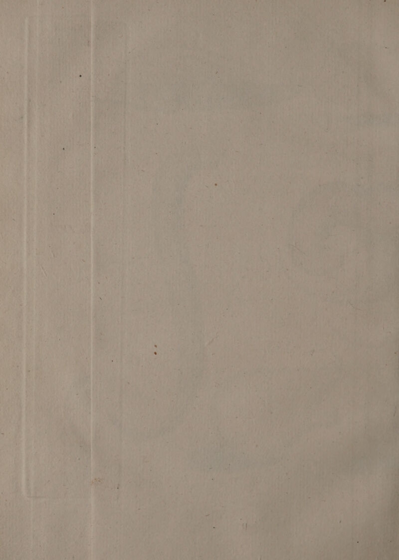 pes lk: he an =S gt Zeeg e, ak,