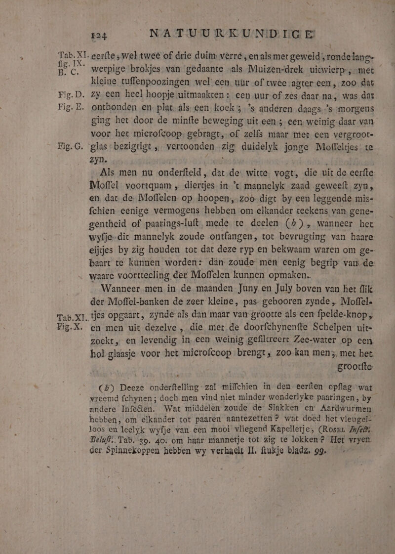Fig.X. eerfte „wel twee of drie duim: verré „en alsmer geweld; rondelang- werpige brokjes van gedaante vals Muizen-drek uicwierp-; „met kleine tuffenpoozingen wel een. uür of twee agter een , zoo. dat zy. een heel hoopje uitmaakten : een uur of zes daar na, was dar ontbonden en. plat. alseen koek 5 ’s anderen „daags ’s ‘morgens ging het door de minfte beweging uit een; een; weinig daar van voor het microfcoop, gebragt, of zelfs maar mee cen vergroot- zyn. Als men nu onderfteld , dat de. witte. vogt, die uit de eerfte Moffel voortquam , siaeh in % henna zaad geweeft zyn, en dar de, Moffelen op hoopen:,.zoo-digt by een leggende mis= fchien eenige vermogens hebben om elkander teekens van. gene- gentheid of panter: mede te deelen (5), wanneer her wyfje-dic mannelyk zoude ontfangen, tot bevrugting van haare eijtjes by zig houden tot dat deze ryp en bekwaam waren om ge- baart te kunnen worden: dan zoude men eenig begrip vande: waare voortteeling. der Moffelen kunnen opmaken. Wanneer men in de maanden Juny en July boven van het {lik der Moffel-banken de zeer kleine, pas- gebooren zynde „ Moffel« tjes opgaart, zynde-als dan maar van grootte als een fpelde-knop en men uit dezelve , die mer de doorfchynentte Schelpen uit zoekt, en levendig in. een weinig gefiltreert Zee-water op een hol glaasje voor het microfcoop brengt, zoo.kan men5, met het. grootfte- CH) Deeze onderftelling- zal mifchien in den eerften opflag wat vreemd fchynen ; doch men vind niet minder wonderlyke paaringen, by andere Infeêten. Wat middelen’ zoude de Slakken en’ Aardwurmen hebben, om elkander tot paaren aantezetten ? wat doed het vleugel-_ loos en leelyk wyfje van een mooi vliegend Kapelletje, (Rose Jofel; Beluft. Tab. 39. 40. om haar mannetje tot zig te lokken? Het vryen der. Spinnekoppen hebben wy verhaclt II. ftukje blade, 99.