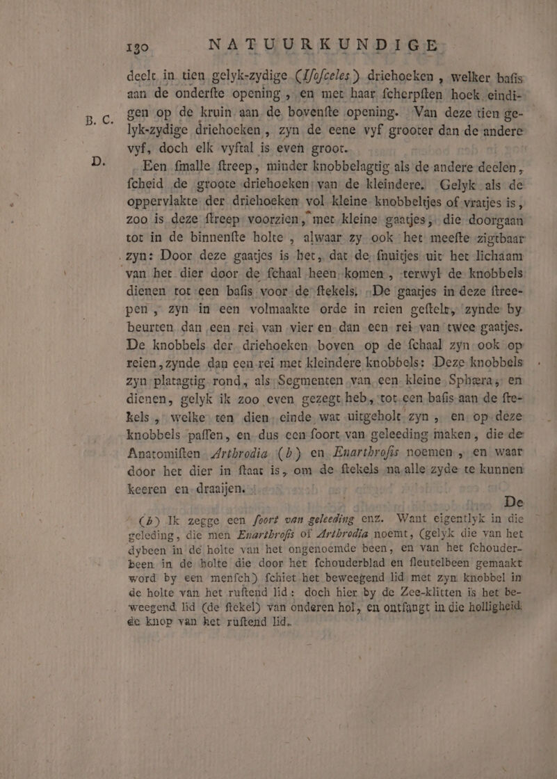 deelt in tien gelyk- -zydige (Hofceles) driehoeken , welker bafis aan de onderfte opening , en met haar, fcherpften hoek. eindi- gen op de kruin aan, de, bovenfte opening. Van deze tien ge- Iykezydige driehoeken „&gt; Zyn de eene vyf grooter dan de andere vyf, doch elk vyftal is even groot. Een {malle ftreep, minder knobbelagtig als de andere deelen, fcheid de groote driehoeken: van de kleindere, Gelyk als de oppervlakte. der driehoeken vol kleine knobbeltjes of vratjes is , zoo is deze ftreep voorzien’, met kleine gaatjes; die doorgaan tot in de binnenfte holte , alwaar zy ook “het meefte brent: dienen tot-een bafis voorde ftekels, „De gaatjes in deze ftree- pen „ zyn in een volmaakte orde in reien geftelr, zynde by beurten dan een rei, van vier en-dan een rei-van twee gaatjes. De knobbels der, driehoeken, boven op de fchaal zyn-ook op reien, zynde dan een rei met kleindere knobbels: Deze knobbels zyn” platagtig-rond„ als;Segmenten ‚van, een. kleine Spheras en dienen, gelyk ik zoo even gezegt heb,,tot-een bafis-aan de fte- kels „ welke ten dien: einde wat uitgehole. zyn „ en-op-deze knobbels paffen, en dus een foort van geleeding maken, die-de Anatomiften Arthrodia (hb) en. Enarthrofis noemen „ en waar door het dier in ftaart is, om de ftekels naalle zyde te kunnen keeren en-draaijen. » sbdhos Be “_ (4) Ik zegge een foort van geleeding enz. Want eigentlyk in die geleding, die men Enartbrofis of Artbrodia noemt, (gelyk die van het dybeen in de holte van het ongenoemde been, en van het fchouder- been: in de holte die door hét fchouderblad en fleutelbeen gemaakt word by een menfch) fchiet.het beweegend lid, met zyn knobbel in de holte van het ruftend lid: doch hier by de Zee-klitten is het be- weegend lid (de ftekel) van onderen hol, en ontfaugt in die holligheid, ge knop van het ruftend lid,