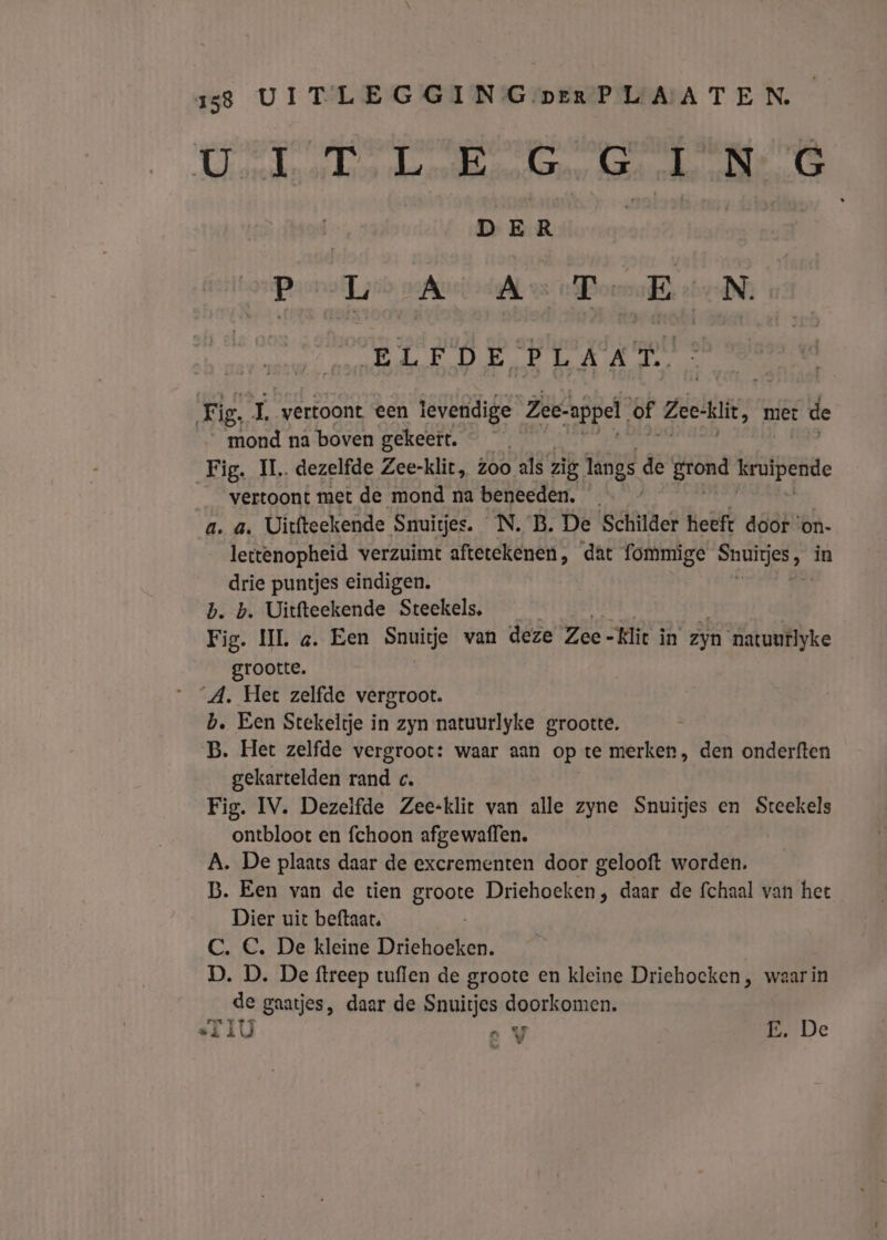 A areskrardnansleaaikde au AE T_N G | DER Prrolljco ofc oen Porno ebr; ELFDE PLAAT. Fig. IL vertoont een levendige Zee-appel. of Zeekit, 1 met de __ mond na boven gekeert. Fig. IL. dezelfde Zee-klit, Zoo als zig langs de sten kruipende vertoont met de mond na beneeden. _ a. a. Uitfteekende Snuitjes. N.B. De Schilder heeft door ‘on- lettenopheid verzuimt aftetekenen, ‘dat fommige dn in drie puntjes eindigen. b. b. Uitfteekende Steekels, Fig. II «. Een Snuitje van deze Zee -Klie in zyn natuurlyke grootte. A. Het zelfde vergroot. b. Een Stekeltje in zyn natuurlyke grootte. B. Het zelfde vergroot: waar aan op te merken, den onderften gekartelden rand c. Fig. IV. Dezelfde Zee-klit van alle zyne Snuites en Stcekels ontbloot en fchoon afgewaffen. A. De plaats daar de excrementen door gelooft worden. D. Een van de tien groote Driehoeken, daar de fchaal van het Dier uit beftaat, C. C. De kleine Driehoeken. D. D. De ftreep tuflen de groote en kleine Driehocken , waar in de gaatjes, daar de Snuitjes doorkomen. „Ti eV E. De