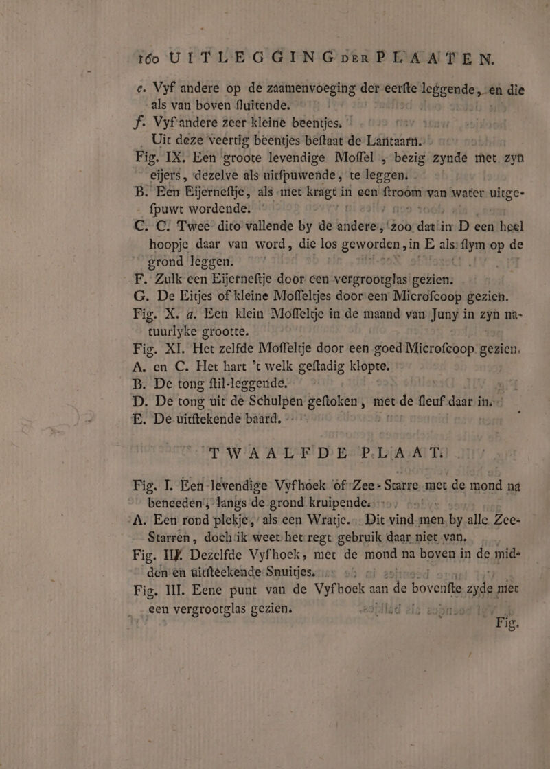 e. Vyf andere op de zaamenvoeging der eerfte keken die als van boven fluitende. Ff. Vyfandere zeer kleine beentjes. - Uit deze veertig beentjes beftaat de Láhtaaen: | Fig. IX. Een groote levendige Moffel „ bezig zynde met zyn eijers, aeldlve als uicfpuwende, te dep cleni B. Een Bijerneftje, als met sins zl in een siiiken van water make {puwt wordende. C. C. Twee dico vallende by de ien „Zoo pali in De een heel hoopje daar van word, die los geworden, in E ie dyn op de grond leggen. F, “Zulk een Eijerneftje door een vergrootglas gezien. G. De Eitjes of kleine Moffeltjes dooreen Microfcoop gezien. Fig. X. a. Een klein Moffeltje in de maand van Juny in zyn na- tuurt grootte. Fig. XL. Het zelfde Moffeltje door een goed Microfcoop. gezien. A. en C. Het hart * welk geftadig klopte. B. De tong ftil-leggeride. ; D. De tong uit de Schulpen geftoken, miet t de fleuf daar in: E. De iamtelende baard, TWAALF DE: PLAAT: Fig. L Een levendige Vyfhoek ‘òf-Zee- Starre met de mond na beneeden';-langs de grond kruipende: …, -… A. Een rond plekje,’ als een Wratje. Dit vind men wter alle Zee- Starren, dochiik weevhet regt gebruik daar niet van, Fig. IW Dezelfde Vyfhoek, met de mou na boven in de mid: den:en uicftéekende Snuitjes. Fig. III. Eene punt van de Vyfhoek « aan nde boven te de miet een vergrootglas gezien. edillód an Fis.