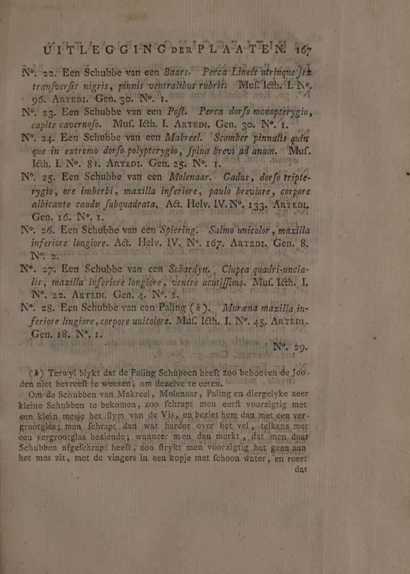 Ne. ao Een Schubbe van een “Bars. Perea Lineif'u krtn jek tranfoerfis nigris, pihnis vehtralibus rúbris Moi Ì le; 1: ob, 06. Artrôr. Gen, go. Ne 1,9) 177 © N°. 23. Een Schubbe van een Poft. Perca dom monopterygio, capite cavernofo. Muf. Iéth. IL. Arrepr, Gen, 30. N°. f. N°. 24. Eén Schubbe van een Makreel.” eden pinus gein que vin extremo dòrfo. polypterygio, Jpina brevì ad aman, * „Mur. I&amp;h, E-Ne. 81, Artept. Gen. 25, Ne, 4,” tn di N°. 25. Een Schubbe van een Molenaar.” Gadus, is A rygio, ‘ore imberbi, maxilla inferiore, paulo breviore, corpore albicante caudp Jubquadrata, AC, Hely. IV, N°, 133: AR EDL WAE LO Nen-E, N°; 6. ‘Een Schübbe van één’ lspsbrbng:” “Same unicolor, RANI inferiore longiore. e. A&amp;. Helv. Iv, ‚Ne, 167, Amrrzor, Gen. 8. Ne: a Jeask dod N°. 27. Een Schubbe van- cén Schardyn,, Clupea guadri;uncia- lis, màzilla' iferlort longiore’, Hee aci mo. Muf. län. 2 N°. ‘os, ARrtEDL Gen: 4. \Nég, N* 59. Fn Schubbe van eén: Palins ( k). “Mürend manilla in- feriore hingiore ,corpore unicolor A Mur, ln, L..N°. 45, ARTEDI, Gen. 1ö., N°, eht aal za, hmida Ee rik N Né à9. E OH vR iS RL 03) Terwijl blykt hie ue Paling Schiböer neeft ob befiseren de Joo- den niet bevreeft te-weezen;, om dezelve’ te ceten, ' Om”de Sehubben van Makreel, Molenaar , Paling en diergeiyke zeer kleine Schubben te bekomen, zoo fchrapt men eerft voorzigtig met een. klein mesje hetAlym, van de Vis, en beziet hem dan met cen ver- … grootgläs; men, fchrapt - dan „wat harder. over” het vels, telkens, met een vergrootglas beziende ;, wanneer men dan merkt, es dat Jen, daar Schubben afgefchrapt heeft, zoo ftrykt men voorzigtig, het geen aan het mes zit, met de vingers in een kopje met fchoon water, ‘en roert dat |