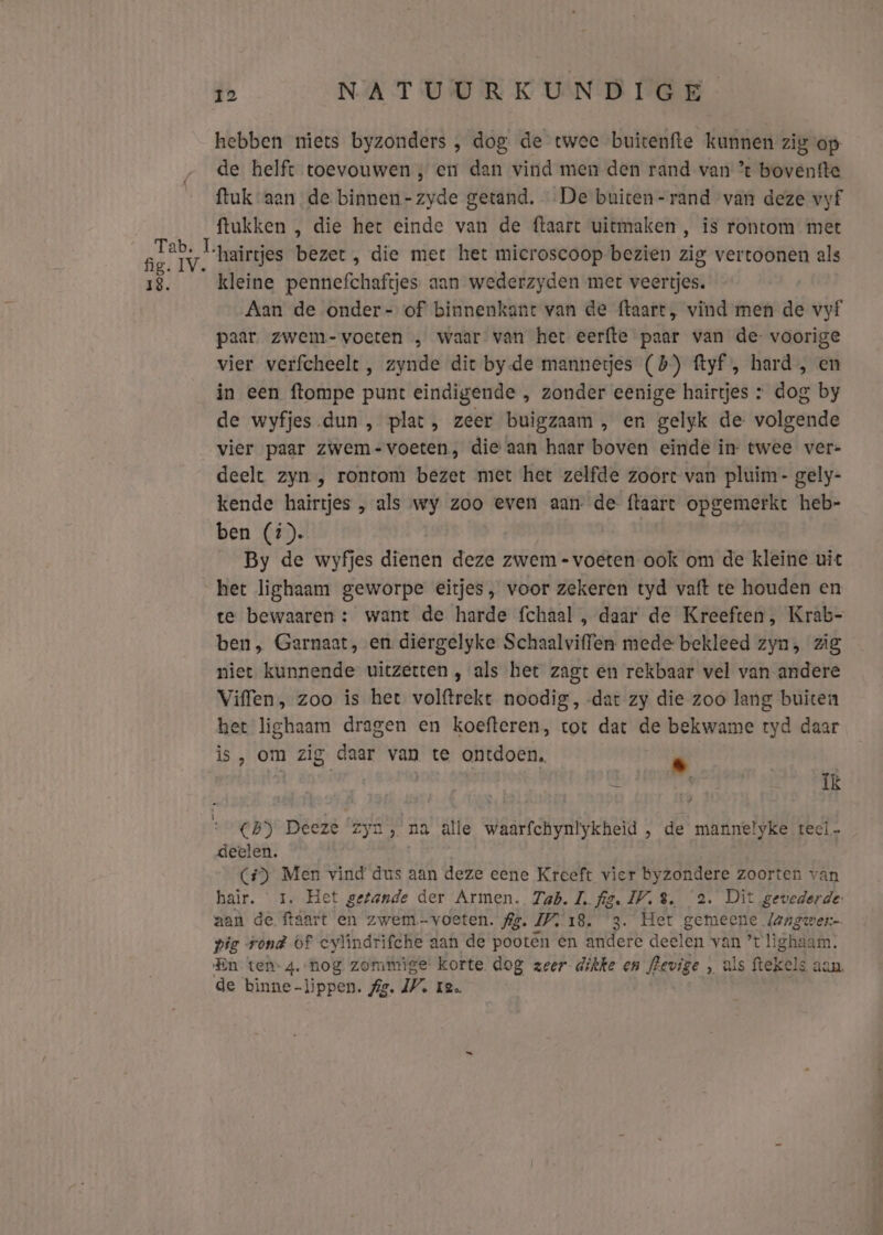 hebben niets byzonders , dog de twee buitenfte kunnen zig op de helft toevouwen , en dan vind men den rand van ’ boventte ftuk aan de binnen-zyde getand. De buiten-rand van deze vyf ftukken , die het einde van de {taart uitmaken , is rontom met hairtjes bezet, die met het microscoop bezien zig vertoonen als kleine pennefchaftjes aan wederzyden met veertjes. Aan de onder- of binnenkant van de ftaart, vind men de vyf paar zwem-voeten „ waar van het eerfte paar van de voorige vier verfcheelt , zynde dit by.de mannetjes (5) ftyf , hard , en in een ftompe punt eindigende , zonder eenige hairtjes : dog by de wyfjes dun , plat, zeer buigzaam , en gelyk de volgende vier paar Zwem-voeten, die aan haar boven einde in- twee ver- deelt zyn , rontom bezet met het zelfde zoort van pluim- gely- kende hairtjes , als wy zoo even aan de ftaart opgemerkt heb- ben (4). By de wyfjes dienen deze zwem - voeten ook om de kleine uit het lighaam geworpe eitjes, voor zekeren tyd vaft te houden en te bewaaren : want de harde fchaal , daar de Kreeften, Krab- ben, Garnaat, en diergelyke Schaalviffen mede bekleed zyn, zig niet kunnende uitzetten , als het zagt en rekbaar vel van andere Viffen, zoo is het volftrekt noodig, -dat zy die zoo lang buiten het lighaam dragen en koefteren, tot dat de bekwame tyd daar is, om zig daar van te ontdoen. N | | E is, whe (5) Deeze ‘zyú , na alle waarfchynlykheid , de mannelyke teel deelen. (+) Men vind dus aan deze eene Kreeft vier byzondere zoorten van hair. ‘1. Het getande der Armen. Tab. L.fig. 17.8. 2. Dit gevederde aan de ftaart en zwem-voeten. fig. PZ 18. 3. Het gemeene langwen- pie rond Of cylindrifche aan de pooten en andere deelen van ’t lighaam. En ten-4.-nog zommige: korte dog zeer dikke en flevige , als ftekels aan. de binne-lippen. fig. 17. ze.