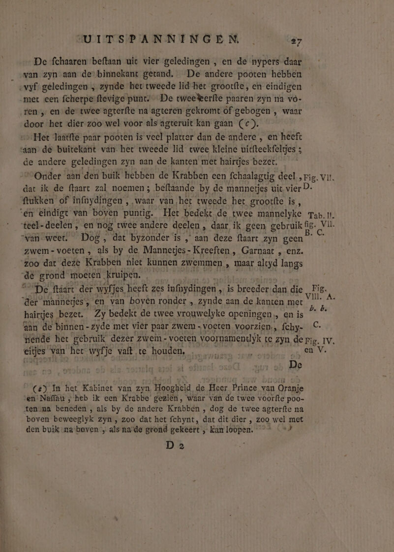 De fchaaren beftaan uic vier geledingen , en de nypers daar van zyn aan de“ binnekant getand. De andere pooten hebben „vyf geledingen „ zynde het tweede lid het grootfte, en eindigen met een fcherpe ftevige punt. De tweekkerfte paaren zyn na vò- ren „ en de twee agterfte na agteren gekromt óf gebogen , waar door het dier zoo wel voor als agteruit kan gaan (Cc). Het laätfte paar pooten is veel platter dan de andere , en heeft “aan de buitekant van. het tweede lid twee kleine uitfteekfeltjes ; de andere geledingen zyn aan de kanten met hairtjes bezet. “Onder aan den buik hebben de Krabben een fchaalagtig deel ‚Fig. vit. dat ik de ftaart zal noemen; beftaande by de mannetjes uit vier ftukken of infnydingen , „waar van, het tweede het grootfte is, ‘en eindigt van boven puntig. Het bedekt de twee vd uslske Tab. ll. teel-deelen , en nog twee andere deelen , daar ik geen g gebruik fig. Vl. “van. weet. Dog , ‚ dat byzonder is , “aan deze ftaart zyn geen zwem- voeten , als by de. Mannetjes - Kreeften ‚ Garnaat , enz. zoo dat deze Krabben niet kunnen zwemmen „ maar alcyd langs de grond 1 moeten kruipen. ht De ftáart der wyfj jes, „heeft zes infhydingen „is wate dais die Fig. ‘der mannetjes’, en van boven ronder » Zynde aan de kanten met aki hairgjes bezet. Zy bedekt de twee vrouwelyke openingen. „ en is aan de binnen - zyde met vier paar zwem - voeten voorzien, fchy- C. wende het gebruik dezer zwem - voeten voornamenlyk te zyn de pig. Iv. zn van ‘hes wyfje valt. ‚te houden, gp 16 „en V. De Ce) In het Kabinet van zyn Hoogieia, de Beer Prince van Oranje en Naffau „heb ik een Krabbe’ geziën, waar van de twee voorfte poo- ten na beriteen „als by de andere Krabben , dog de twee agterfte na boven beweeglyk zyn , zoo dat het fchynt, ad: dit dier , zoo wel met den buik -na-baven „ als ny de grond gekeert , kan loopen. — D 2
