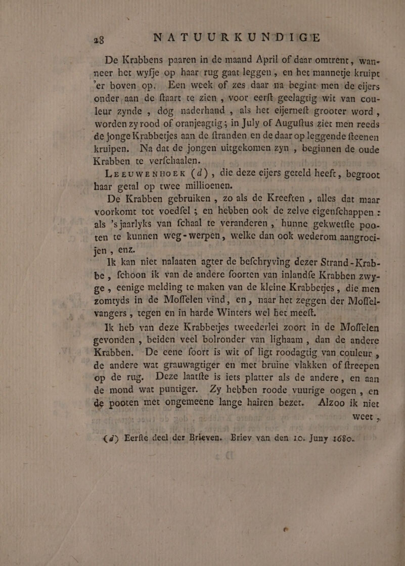 De Krabbens paaren in de maand April of daar omtrent, wan- neer het wyfje op haar: rug gaatleggen ‚ en het mannetje kruipt ‘er boven op. Een week of zes daar na begint mende eijers onderaan de ftaart te zien , voor eerft, geelagtig-wit van cou- leur zynde , dog naderhand , als het eijerneft. grooter word, _ worden zy rood of oranjeagtig; in July of Auguftus ziet men reeds de jonge Krabbetjes aan de ftranden en de daar op leggende fteenen kruipen. Na dat de jongen uitgekomen zyn , beginnen de oude Krabben te verfchaalen. LEEUWENHOEK (d), die deze eijers geteld heeft, begroot haar getal op twee millioenen. De Krabben gebruiken , zo als de Kreeften , alles dat maar voorkomt tot voedfel ; en hebben ook de zelve eigenfchappen : als ’sjaarlyks van fchaal te veranderen , hunne gekwerfte poo- ten te kunnen weg= werpen, welke dan ook wederom aangroci- jen „ ENZ | Ik kan niet nalaaten agter de befchryving dezer Strand-Krab- be , fchoon ik van de andere foorten van inlandfe Krabben zwy- ge „ eenige melding te maken van de kleine Krabbetjes , die men zomtyds in de Moffelen vind, en, naar her zeggen der Moffel- vangers , vegen en in harde Winters wel bet meeft, sien Ik heb van deze Krabbeijes tweederlei zoort in de Moffelen gevonden , beiden veel bolronder van lighaam , dan de andere Krabben. De eene foort is wit of ligt roodagtig van couleur é de andere wat grauwagtiger en met bruine vlakken of ftreepen op de rug. Deze laatfte is iets platter als de andere, en aan de mond wat puntiger. Zy hebben roode vuurige oogen , en de pooten met ongemeene lange hairen bezet. Alzoo ik niet | weet „ _{£d) Eerfte deel der Brieven. Briev van den 10: Juny 1680.