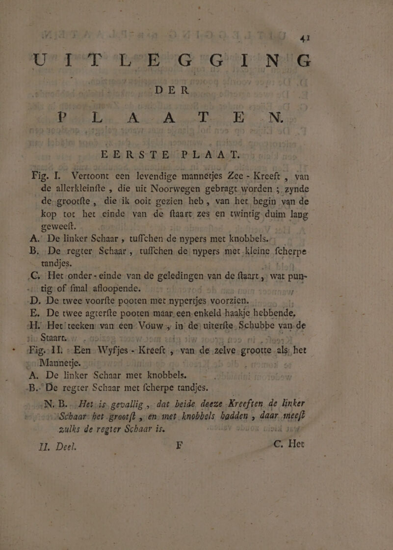 Un grep: eG VGT ING EE Ras AE Arae NL EE R‚S- TEN P-LrAlAoT, Fig. L. _Vertoont een levendige mannetjes Zee - Kreeft , van de allerkleinfte , die uit Noorwegen gebragt worden ; zynde de-groorfte , dieik ooit gezien heb, van het begin van de kop tot het einde van de ftaart zes en twintig duim lang geweeft. A. De linker Schaar , tuffchen de nypers met knobbels. B, De regter Schaar, tuffchen de nypers met kleine Re tandjes. ‚€, Het -onder-einde van de geledingen van de {taart „ war pun- ‚tig of fmal afloopende. | | $ D. De twee voorfte poorten met nypertjes voorzien. E. De twee agrerfte pooten maar. een, enkeld haakje hebheidie: H. Het’ A van éen Vdaws 5 in de) uiterfte ts Arhube van, de ‚Staart, Fig:-1Dì «:Een Wyfjes - Kreeft ‚van de ie Bede als het { Mauisède: de A. De linker Schaar met knobbels. B. De regter Schaar met fcherpe tandjes. ‚N.B. Het is gevallig „dat beide, deeze Kreeften de linkér “Schaar het. graotfl „enmet knobbels hadde ‚ daar. neef? zulks de regter Schaar is. bios vioid 16u JI. Deel. F C. Het