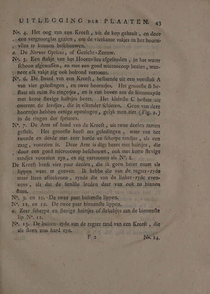 Ne. 4. Het oog van een Kreeft „ uit de kop gehaalt , en dadt „een vergrootglas gezien ‚om de: vierkante vakjes in het hoorn- z- vlies te kunnen befchouwen. ® In a. De Nervus Opticus, of Gezicht- pend Ne. 5: Een ftukje van het Hoornvlies: afgefneden in het water fchoon afgewaflen, en met een goed microscoop bezien , wan- „neer elk vakje zig ook bolrond vertoont. - Ne. 6, De. Baard, van een Kreeft , beftaande uit een voerftuk A van vier geledingen ‚ en twee hoorntjes. Het grootfte B be- ftaat vic ruim 80 ringetjes „en is van boven aan de binnenzyde met korte ftevige hairtjes bezet, … Het kleinfte C beftaatuit „omtrent. 6o leedjes, die in elkander fchieten. « Geen van deze hoorntjes hebben eenige openingen „ gelyk men.ziet (Fig. o, ) in de ringen der fprieten. N°7. De Arm of hand van de Kreeft , uit twee deelen zamen geftelt. Het grootfte heeft zes geledingen , waar van het „tweede en derde met zeer harde en fcherpe tandjes , als een Zaag , voorzien is. Deze Arm is digt bezet met hairtjes , die ‘door een goed microscoop befchouwt, ook met korte ftevige tandjes voorzien zyn „ en zig vertoonen als N° 8, De Kreeft heeft vier paar deelen , die.ik geen beter naam als „lippen weer te geeven, Ik hebbe die van de regter-zyde maar laten afteekenen , zynde die van de linker-zyde even- eens „ als datde ene deeden daar van, ook, na ‚binnen „ftaan. e N°, 9. en ID twee paar buitene ier: AE rt, en 12, De twee paar binnenfte lippen. Zeer fcherpe en ftevige hairtjes. of ftekelrjes aan de baan ni IN Eee N®, 13. De buiten- zyde van de li tand van cen Kreeft ä die als {leen zoo hard zyn, € F EJ Mathijr Nei.