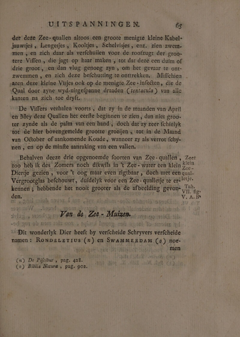 der deze Zee-quallen altoos een- groote menigte kleine Kabel- jauwtjes „ Leengetjes , Kooltjes , Schelvisjes , enz. zien zwem- men „en zich daar-als verfchuilen voor. de roofzugt dergroo- tere Viffen „die jagt op haar maken , tot dac deze een duim of drie groot, ‘en-dan vlug genoeg zyn ‚om het gevaar te ont- zwemmen , en zich deze befchurting te onttrekken. Miffchien azen. deze: kleine Visjes ook opde menigte, Zee -infeéten, die de “Qual door- zyne: wydruitgefpanne „draaden Ceentacula ) van alle kanten na zich toe dryft, De VifTers verhalen voorts , dat zy in de maanden van April en Mey deze Quallen: het eerfte beginnen te zien, dan niet groo- ter zynde als de palm van een hand, doch dat zy zeer fchielyk tot “de“hier bovengemelde: grootte groeijen ‚tot in’ de „Maand van Oétober of aankomende Koude, wanneer zy als verrot mati nen , ern op de minfte aanraking van een vallen. Behalven deeze drie opgenoemde foorten van Zee- quallen, Zeet zoo heb ik des Zomers noch dikwils in *t Zee - waref een klein ai Diertje gezien ‚ voor *t oog. maar even zigtbaar ‚ doch met éen qual- Vergrootglas ‘befchouwt, duidelyk voor een Zee- qualletje té ers leus: kennen ; HeDuende” het nooit grooter als de af beelding gevon eb, den pee | Vv, ABe E 3 _ i ' _ PE … r , - p . Ja A b A : 5 3 55 tvid Ja de Ze Hen ús ao ids bie ige Dier heef: ab verfeheide Beed verfstidde namen: RonpeLeETIUS (n) en SWAMMERDAM (0) noe- (4) Cn) De Pifcibus , pag. 428. À Co) Biblia Nature , pag. go2.