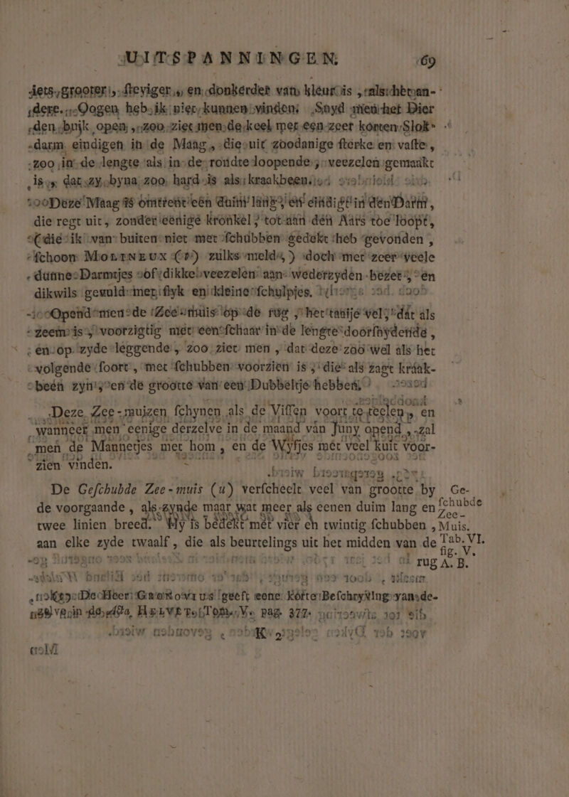 Aets.,grooteri,-dteviger‚‚ en, donkerder vans kleur is „rals:chetan- * ‚dere. „-Qagen hebsik: nier, kunnemovindens „Soyd meùhet Dier «den „buik, open; „zoo ziet mende keel mer een-zeer konten:Slok® « „darm, eindigen in de Maag „ -Bievuit zoodanige fterke en: vatte, „zoo ‚inde lengte vals, in-desroudredoopende,j-veezelen gemaakt een datszyobyna, zoo, hard-ìs als;kraakbeen.;vs ovolvioil vin di ooDeze Maag fs Omttetit eén duit’ lnb est ertdigttid denDare, die regt uit, zonder eënige Kronkel ; tot-dän dé Aars toc Toopt, oC did “ik „van buiteneniet mer fchibben gedekt heb gevonden , -fchoom MoutNEux Cp5) zulks mrelds, ) «doch met zeer veele ‚ dutmesDarmtjes vofydikkebveezelen: aan- wederzyden bezet “en dikwils geuuld=iner:fliyk enickleinesfchylpjes, tylvore zad. cach -joo@petidenren ede (Zee uriniis-'bpr-de rug „hertatije veljdät als » zeem is, voorzigtig niee een°fchaarin=de lengre“doorfdyderide , ‘ énvop-zyde leggende: , zoo. ziet men „dat deze’ zaö wel als het «volgende foort „ met fchubben- voorzien is ; die” als zast kráak- cbeén zyigeende groote vaneen Dubbeltje hebbes,’ osod Deze, Zee -smuizen, fchynen als de ViTen voort tesecleng en „wanneer men eenige derzelve in de maand vân Juny opend, zal “meh, de Manniejes met, hom , en de Wijfjes mêr veel kuit Voor. Bia nOD gil IVLOS 39 MDR wv Cie DIEST OOGONIBOOS IE zien vinden. = | HrISIw brooregsreg EDEL De Gefchubde Zee- muis (u) verfcheelt veel van grootte by Ge- voorgaande - maar wat meer als eenen duim 1 fchubde Kla m5 3 ARNE Sie an Het Nart” O5 Zee. twee linien breed. My ís bedekt mêt vier eh twintig fchubben , Muis. aan elke zyde twaalf , die als beurtelings uit het midden van de a Et aA oink dt AR krt RER AN dd A Kamst. pe x } Jett OR TUg A. B. whas Braet sód tsovsrho vo anlbt' saus: dos tools ', Hlssm. „lepe DecHeer: Gron ova us [geef eene KôfterBelchoyiting-yansde- n&amp;e}vegin derde, Hove roilom,Ne Pag 377: varones 101 Sih haoiw uobuoveg « nobikworgslon ly Tob z90w : so itse 9IR . E mt rn dg tid Eet Jatsd HIA fri si 4d aolï