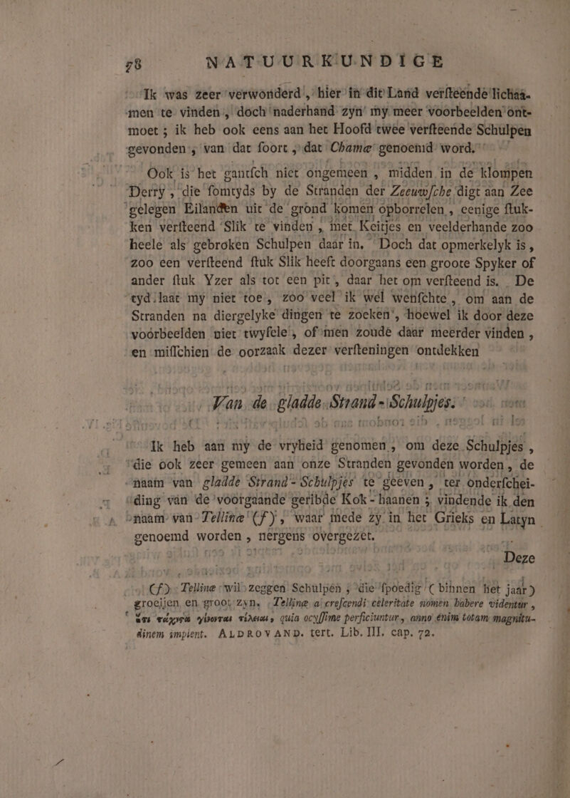 Ik was zeer verwonderd’, „hier in die Land verftesnde’ lichaa. men te” vinden’, ‘doch ‘naderhand zyn’ my. meer voorbeelden’ önt- moet ; ik heb dé eens aan het Hoofd twee verfteende Schulpen gevonden; van dat foort „dat mardi genoenid word, Ook is het eancfch niet ongemeen E midden. in de klompen Derry , die ‘fomryds by de Stränden der. Zeeuwfche, dige: aan Zee ‘gelegen Eilanden uit de’ grond komen opborrelen , ‚ eenige ftuk- ken verfteend ‘Slik re iden. d met. Keirjes en veelderhande zoo heele als gebroken Schulpen daar in, Doch dat opmerkelyk is , zoo een verfteend ftuk Slik heeft doorgaans een groote Spyker of ander {tuk Yzer als tot een pit, Lb, het om verfteend is. De tydilaat my niet toe, zoo veel ik wel wenfchte , om aan de Stranden na diergelyke dingen te zoeken’, hoewel ik door deze voorbeelden niet twyfele’, of ‘men zoude daar meerder vinden 5 en miflchien de oorzaak dezer verfteningen ontdekken Jan de gladis Svand deSchje” ile Î or s neuool gi les Ik heb aan my de ier genomen. ‚ om deze. Schulpjes 4 “die ook zeer gemeen aan onze Stranden gevonden worden , de “aam van gladde Strand - Schulpjes te geeven &gt; ter Onderfchei- “ding van de’ voorgaande geribde Kok- haanen 5, vindende ik den vnaam” van Zelline (f ) ‚ waar mede zy. in het Grieks en Latyn genoemd worden 8 B overgezet. “Deze D Teliine: wb zeggen sehalgén # die fbedie) C binen het jaak) groeijen, en groot Zyn. ‚Telline a: crefcendi” cêleritate momen habere videntur , “Ees wezen yivovras vies quia ocyfime perficiuntur, anno Enins totam magnitu- Sinem impient. ALDROVAND. tert. Lib. III. cap. 72,