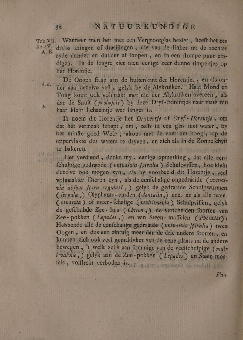 Wanneer men het met een Vergrootglas beziet , heeft het zes digen. In de lengte ziet men eenige zeer dunne hi oe De Oogen ftaan aan de buitenkant der Horentjes , en als on- der aan dezelve vaft, gelyk by de Alykruiken. Haar Mond en Tong komt ook. Hei met die der Alykruiken. ‘overeen’ ‚ als dat de Snuit (pr obofeis”) by deze Dryf- hòrentjes naar mate van haar klein lichaamtje wat langer is. Ik noem dit Horentje het Dryvertje of Dryf- Horentje ‚ om dat het vermaak fchept „ om „’ zelfs in ‘een glas met water „ by het minfte goed Weêr , ‘altoos met de voet om hoog, «op «de oppervlakte des waters te dryven, en zich als in de peseta te bakeren. : Het verdiend, dunke my, eenige opmerking , dat oh een- dezelve ook. mogen zyui, als, by voorbeeld dit. Horentje ‚veel volmaakter Dieren zyn, als de eenfchalige ongedraaide Cunival- via abfque Jpira regulari ,) gelyk de gedraaide Schulpwurmen Cferpule ‚) Olyphants -tanden (-dentalia „) enz. en als alle twee- Cbtvalvia ) of meer-{fchalige ( multivalvia ), Schulpviffen, gelyk de gefchubde Zee- luis. CChiton „) desverfcheiden foorten- van Zee- pokken ( Lepades,) en van Sreen- moffelen CPholades) : Hebbende alle de eenfchalige gedraaide ( univalvia fpiralia) twee Oogen , en dus een zintuig meer-dan de drie andere foorten, en kunnen «zich ook veel gemaktyker van de eenesplaats na de andere bewegen J t welk zelfs aan fommige van de veelfchulpige, (mule EA ‚) gelyk’ dan ‘de Zee- bin U Lepades) en. Steen. mOSs- tels , volftrekt verboden is, sars site vr ssiofilk € oft @ Van