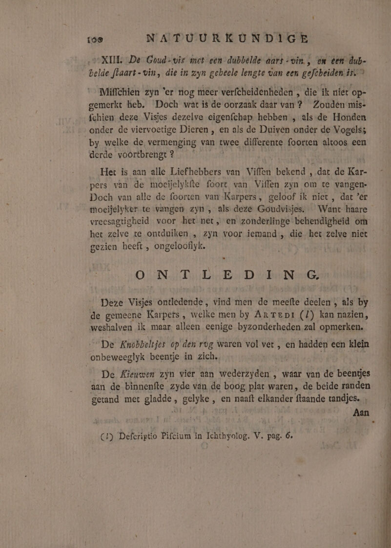 XIII. De Goud: vir met een dubbelde aars +vin. , on ten dub- belde flaart-vin, die in zyn geheele lengte van een gefcheiden is. &gt; Miffchien zyn ‘er nog meer verfcheidenheden , die ik níet op- gemerkt heb. Doch wat is de oorzaak daar van? Zouden mis- fchien deze Visjes dezelve eigenfchap hebben „, als-de Honden onder de viervoetige Dieren , en als de Duiven onder de Vogels; by welke de, vermenging van twee differente foorten altoos een derde voortbrengt? Het is aan alle Liefhebbers van Viffen peen? dat de Kar- pers vàn de moeijelykfte foort van Viflen zyn om te vangen. Doch van alle de foorten van Karpers, geloof ik niet , dat ’er tmMoeijelyker te vangen zyn , als deze Goudvisjes. Want haare vreesagtigbeid voor het net „en zonderlinge behendigheid om het zelve te ontduiken „ zyn voor iemand „ die het zelve niet gezien heeft , ongelooflyk. ON TLE DIN G Deze Visjes ontledende, vind men de meefte deelen , als by de gemeene Karpers, welke men by Artept (/) kan nazien, weshalven ik maar. alleen eenige byzonderheden zal opmerken. „De Knobbeltjes op den rvg waren vol ver , en hadden een klein onbeweeglyk beentje in zich, De Kieuwen zyn vier aan wederzyden, waar van de beentjes aan de bìnnenfte zyde van de boog plac waren, de beide randen getand met ht , BOI ‚ en naaft elkander ftaande tandjes. Aan
