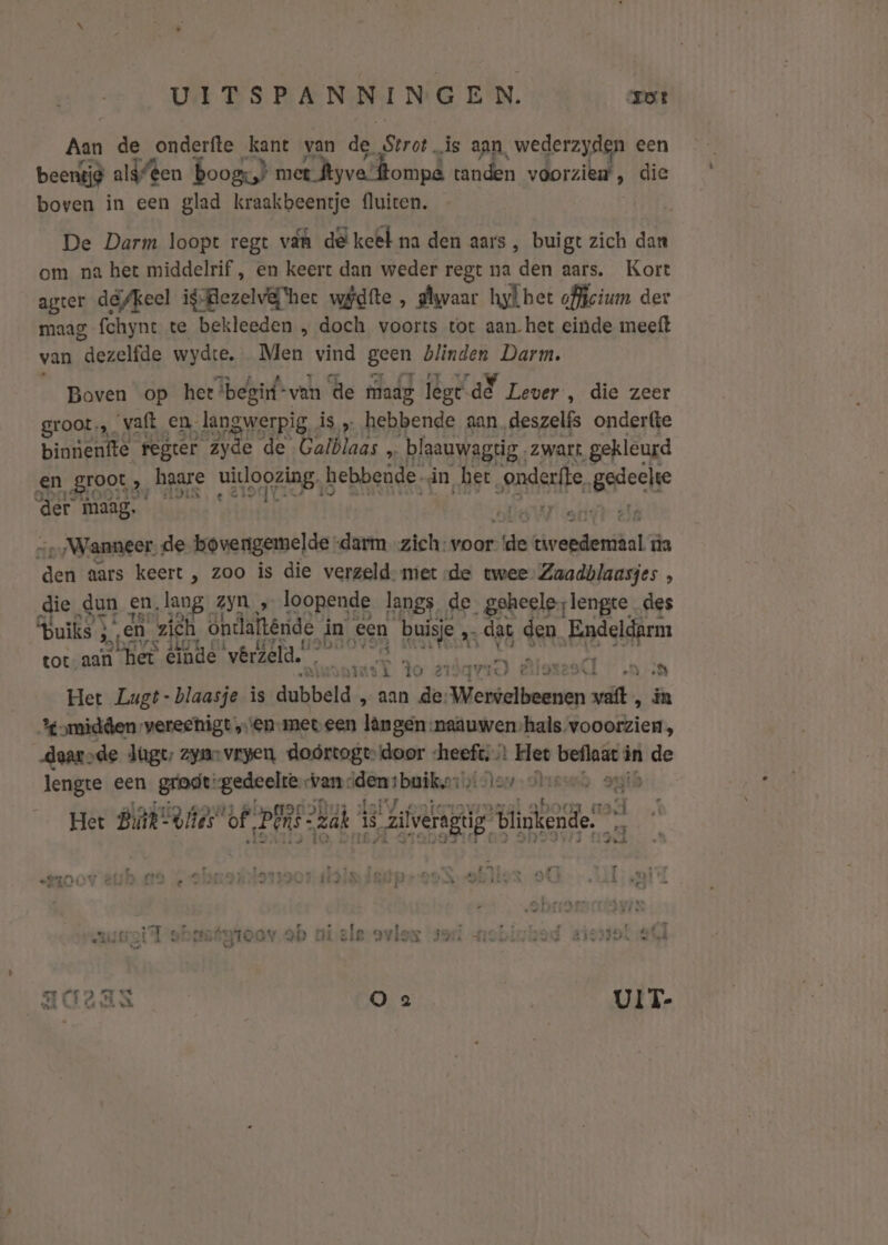 Aan de onderfte kant van de Strot _is aan ‚wederzyden een beentjd als”en boog) met. cyva lompd tanden voorzien’, die boven in een glad kraakbeentje fluiten. De Darm loopt regt vdh del keel na den aars, buigt zich dan om na het middelrif , en keert dan weder regt na den aars, Kort agter döfkeel ig-Bezelvä'hee wdfte , glwaar hyÎhet officium der maag fchynt te bekleeden „ doch voorts tot aan-het einde meeft van “dezelfde wydte, Men vind geen blinden Darm. Boven op het ‘begin van de maag lége dE Lever ‚ die zeer groot, vaft en langwerpig, is „ hebbende aan deszelfs onderte bintienfte regrer zyde de Galblaas „ blaauwagrig, zwart gekleurd en groot, ‚haare en hebbende. in, het onderte „Beeclie „Wanneer. de bovengemelde “darm -zich: voor ide sChrordenial üa ded aars keert , zoo is die verzeld. met de twee Zaadblaasjes , die ‚dun en, lang. ZYN » loopende langs, de geheeleslengte des Buiks ; Á en zich ontlaftende in, een buisje , „dat den, Endeldarm tot, Es einde vêrzeld. grijs: Edo in k hdd Pew OEREN Het Lugt-blaasje is dobbeld, „aan de: Ep in omidden verechigt ‚en meteen lângen:naauwen hals vooorzien , „daar sde Jugt: zyno vegen doortogt door heeft; Ne: beflaat in de lengte een grodt: gedeelte van dden: buik,» : sub oi Het Bir -elies” of” PR “zak SRE blinkende.” pe Ee dà ed ers: HG | er PE AE OLO an ERI aylax rat grntirrisrd steet af Ì edison d derge gien tid shÂ EI6 DVE FOT SIOE BTSIEOL AMA