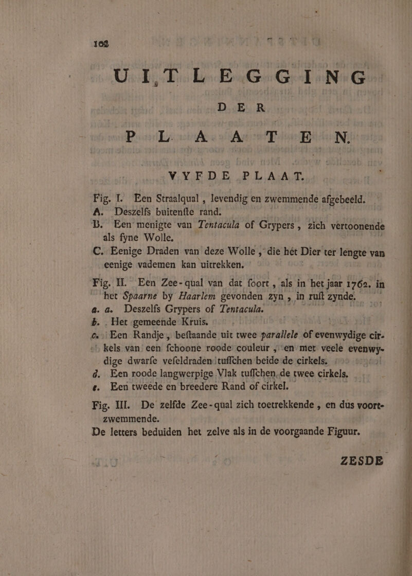 1a2 UITLEGGING DE Re | Borre sirÂr est Aa Dor NI VYEDE PLAAT, Fig. 1. Een Straalqual , levendig en zwemmende afgebeeld. A. Deszelfs buitenfte rand. BD. Een menigte van Tentacula of Grypers » zich vertoonende als fyne Wolle. C. Eenige Draden van deze Wolle „die hét Dier ter lengte van eenige vademen kan uitrekken. | Fig. IL. Een Zee-qual van dat foort , als in het jaar 1762, in het Spaarne by Haarlem gevonden zyn in ruft zynde, a. a. Deszelfs Grypers of Tentacula. D ‚ Het gemeende Kruis. Een Randje , beftaande uit twee parallele of oen hai cir- je van een fchoone roode: couleur „en met veele NE dige dwarfe vefeldradentuffchen beide de cirkels. - | d. Een roode langwerpige Vlak tuffchen,de twee cirkels, ij t. Eer tweêde en breedere Rand of cirkel. her onee amer Wo Fig. UI. De zelfde Zee-qual zich toetrekkende , en dus voort- zwemmende. De letters beduiden het zelve als in de voorgaande Figuur. ZESDE