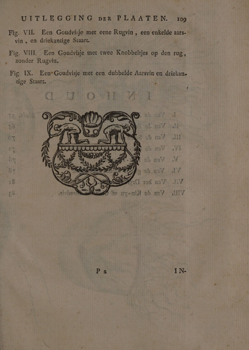 UITLEGGING per PLAATEN. rog Fig. VIL Een Goudvisje met eene Rugvin , een enkelde aars- vin , en driekantige Staart. | Fig. VIT. Een Goudvisje met twee Knobbeltjes op den rug, ‚ zonder Rugvin. Fig. IX. Een Goudvisje met een dubbelde Aarsvin en driekane tìge Scart, Ë HIP