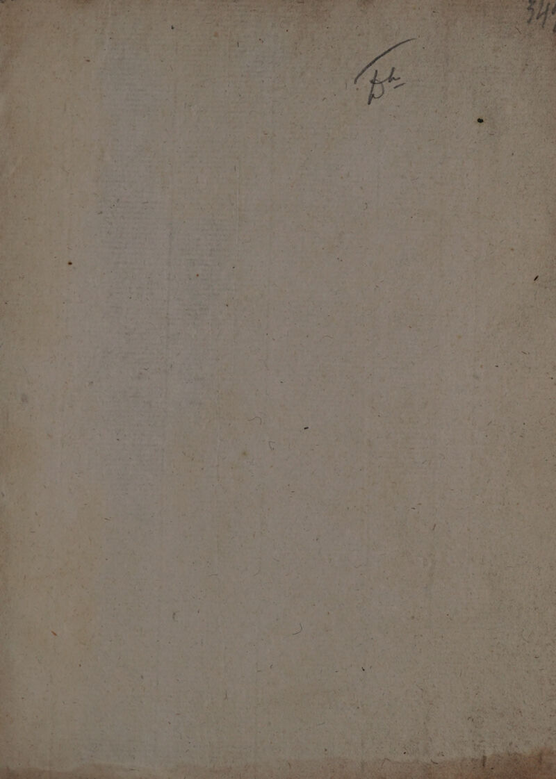 B ieder, hf Rd Seek Ì Ò on Beed los met A Ea rp n= nd