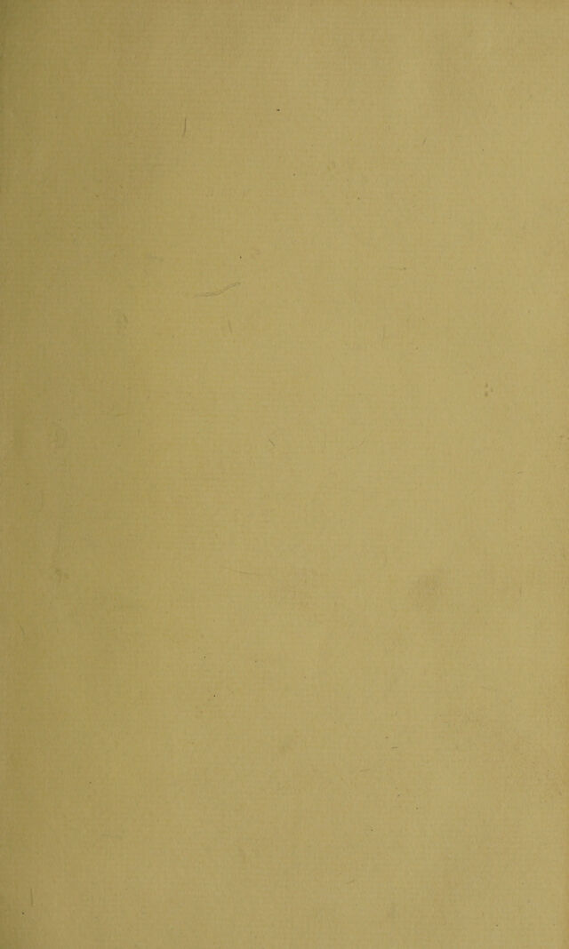 digitised image 3