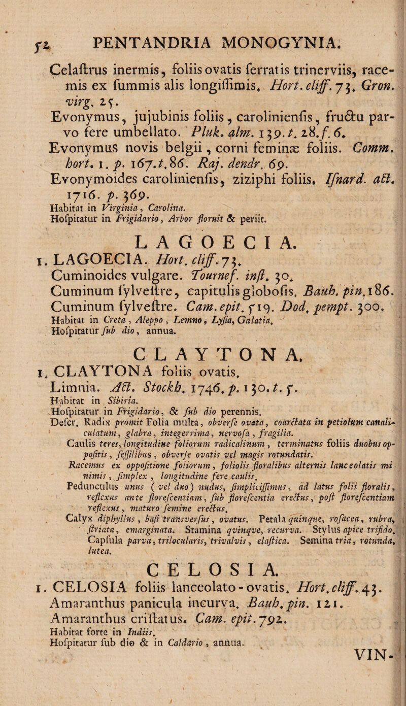 Celaftrus inermis, foliis ovatis ferratis trinerviis, race¬ mis ex fummis alis longiffirais* Hort.cliff. 73* Gron, virg, 2f. Evonymus, jujubinis foliis, carolinienfis, fru&u par¬ vo fere umbellato. Pluk. alm. 139. t. 28./. 6. Evonymus novis belgii, corni feminae foliis. Comm. hort. 1. p. \67J.%6. Raj. dendr. 69. Evonymoides carolinienfis, ziziphi foliis. Ifnard. 1716. ^>. 369. Habitat in Virginia, Caro lina. Hofpitatur in Frigidario, Arbor floruit & periit. L A G O E C I A. 1. LAGOECIA. Hort. clff.7^ Cuminoides vulgare. Tournef’ /#y?* 30* Cuminum fylvellre, capitulis globofis, Bauh. pin1i86. Cuminum fylveftre. Cam.epit. f 19. Dod. pempt. 300. Habitat in Creta , Aleppo , Lemno * Lyfia, Galatia. Hofpitatur dio, annua. CLAYTONA, 1. CLAYTONA foliis ovatis. Limnia. ./#?. Stockb. 17^6. p. 150, t. f. Habitat in Sibiria. Hofpitatur in Frigidario, & fub dio perennis. Defer. Radix promit Folia multa, obverfe ovata, coarclata in petiolum canali¬ culatum , glabra, integerrima, nervofa , fragilia. Caulis teres, longitudine foliorum radiealinum , terminatus foliis duobus op- pofitis, fejfilibns , obverje ovatis vel magis rotundatis. Racemus ex oppofitione foliorum, foliolis floralibus alternis lance olatis mi nimis , fimplex , longitudine fere caulis. Pedunculus unus {vel duo) nudus, fimplhijjinms, ad latus folii flor alis, reflexus ante flor efcentiam, fub flor eflentia er e cius, pofl florefeentiam reflexus, maturo femine erectus. Calyx diphyllus , baji trans verfus, ovatus. Petala quinque, rofacea, rubra, i flriata, emarginata. Stamina qvinqve, recurva. Stylus apice trifido. \ Capfula parva, trilocularis, trivalvis, elaflica. Semina tm, rotunda, lutea. C E L O S I A. 1. CELOSIA foliis lanceolato-ovatis* Hort.cliff‘»43. Amaranthus panicula incurva* Bauh.pin. 121. Amaranthus crillatus. C^. epit.791. Habitat forte in Indiis. Hofpitatur fub dio & in Caldario , annua. VIN-