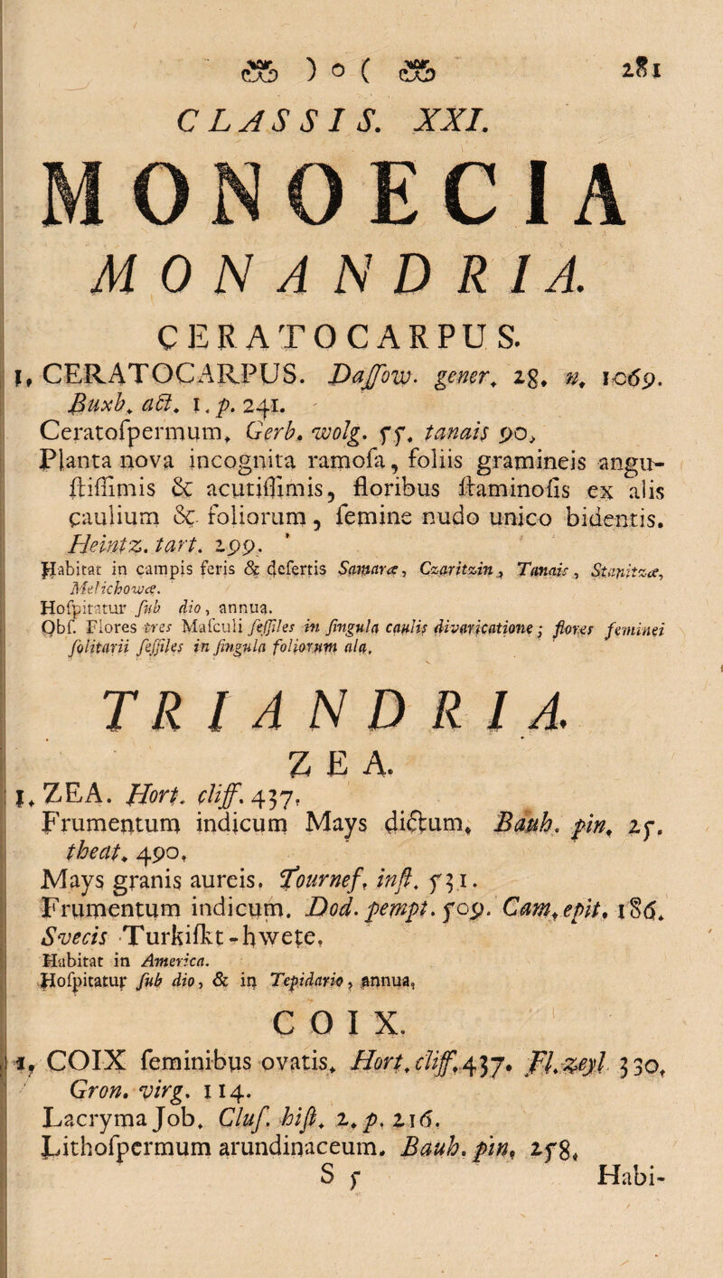 CLASSIS. XXI. M 0 N A N D R IA. CERATO CARPUS. lt CERATOCARPUS. Dajfovo. gener\ zg. n. io69. Buxb, abi, 1, p, 241. Ceratofpermum, Gerb, wolg. f f, tanan 90> Planta nova incognita ramofa, foliis gramineis angit- ftiffimis 6c acutiflimis, floribus Aaminofis ex alis caulium & foliorum, femine nudo unico bidentis. Heintz. tart. zpp- Habitat in campis feris <& defertis Samara, CzaritzinTanais, Stanitza, Mdichoiva. Hofpitatur fnb dio, annua. Qbf. Flores tres Mafculi fefliles in fingula caulis ^ivaricatione; florus feminei folitarii feffiles in fingula foliorum ala. TR l A N D R I A. ZEA. j.ZEA. fforf. cliff* 437, Frumentum indicum Mays dictum. Batth. pin. zy. theat, 490, Mays granis aureis, btoumef, inft, f 51. Frumentum indicum. Dod. pempt. foy. Cam^ epit, t§<5. Turkifltt-hwete. Habitat in America. Hofpitatur fub dio, & in Tepidario, annua, C O I X. COIX feminibus ovatis. Hort.clif.^j. fl,%eyl 330, Gron. yirg, 114. Lacrymajob, Cluf. hifi, 2./). zi<5. Pithofpermum arundinaceum. Bauh.pm, 2fg. S y Habi-