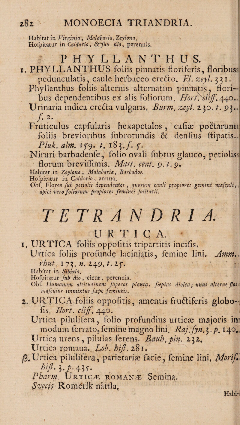 Habitat in Virginia, Mnlnbnria, Zeylona, Hofpitatur in Caldario, Scfub dio, perennis. PHYLLANTHUS. i. PHYLLANTHUS foliis pinnatis floriferis, floribus peduncularis, caule herbaceo eredto, M. zeyl. 331. Phyllanthus foliis alternis alternarim pinnatis, flori¬ bus dependentibus ex alis foliorum, Hortfidiff^yo. f Urinaria indica eredta vulgaris, Burm, zeyl. 230. t. P3. /. 2. Fruticulus capfularis hexapetalos , cafiae poetarum : foliis brevioribus fubrotundis & denfius ftipatis. ? Pluk. aim. 1C9. t, 183,/. f. Niruri barbadenfe, folio ovali fubtus glauco, petiolis florum breviflimis. Mavt< cent. p.Ap. Habitat in Zeylona, Malabaria, Bavbados. Hofpitatur in Caldario , annua. Obf. Flores fub petiolis dependentes , quorum cauli propiores gemini mafculi, apici vero foliorum propiores feminei folitarii. TETRANDRI A. URTICA. 1, URTICA foliis oppofltis tripartitis incifis. Urtica foliis profunde laciniatis, femine lini, Amm,. rhut. 173. /z. 249, 25*. Habitat in Sibina, Hofpitatur Jub dio, cicur, perennis. Obf. Humanam altitudinem fuperat planta, fcepins dioica; unus ait erue flos viajadtts immixtus flepe femineis. 2, URTICA foliis oppofltis, amentis frudtiferis globo-, fis. Hort. cliff,\ 440. i Urtica pilulifera, folio profundius urticae majoris in modum ferrato, femine magno lini, Baj.fyn^-p* 14<V Urtica urens, pilulas ferens. Bauh.pin. 232, Urtica romana. Lob. hifi.zfti. Urtica pilulifera, parietariae facie, femine lini, Mori fi. hi fi, 3, p. 43 f. Pharm. Urtica roman/e Semina, Svecis Romerfk natfla, Habi-i 1