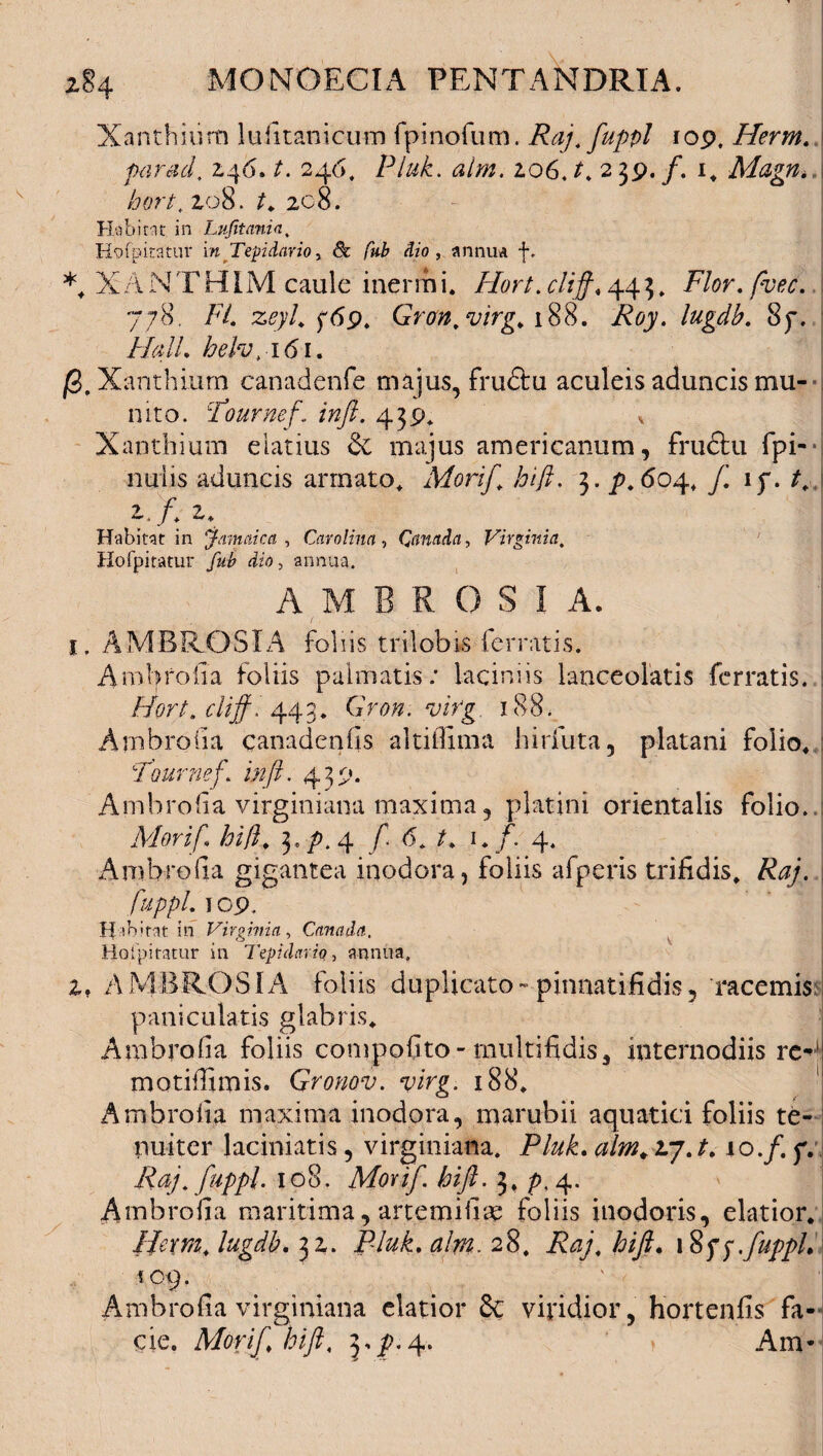 z§ 4 MONOECI A PENT ANDRIA. Xanthium lufitanicum fpinofum. Raj. fuppl iop, Herm. parati. 146. f. 246, Pluk.. alm. 206. t. 2 39. /. 1. Magn. hort. 208. t. 208. Habitat in Lujitania, Hofpitatur in Tepidario, & /#£ dio , annua f. *, X A NT HIM caule inerm i. Hort. dij}. 44 3. Flor. fvec. 778. Fi zeyl. f6p. Gron,virg. 188. F07. lugdb. 8p. Piali. hehti6i. jS, Xanthium canadenfe majus, frudiu aculeis aduncis mu¬ nito. Fournef. inft. 439* * Xanthium elatius & majus americanum, frudtu fpi- nuiis aduncis armato. Morifi hift. 3. p. 604, ft. ip. A ./♦ Habitat in jamaica , Carolina , Qmada, Virginia. Hofpitatur /a£ dzo, annua. AMBROSIA. 1. AMBROSIA foliis trilobis ferratis. Ambrofia foliis palmatis; laciniis lanceolatis ferratis. Hort.cliff. 443. Gron. vifg 188. Ambroiia canadenfis altiffima hirfuta, platani folio. Tournef. in fi. 439. Ambrofia virginiana maxima, platini orientalis folio. Mori/,hift. 3, />.4 / 6. 1./ 4. Ambroiia gigantea inodora, foliis afperis trifidis, fuppl. 10 9. H ibinr in Virginia, Cana da. Hofpitatur in Tepidario, annua. 2. AMBROSIA foliis duplicato-pinnati fi dis, racemis pani culatis glabris. Ambrofia foliis compofito-multifidis, internodiis rc-; motiffimis. Gronov. virg. 188. Ambroiia maxima inodora, marubii aquatici foliis te¬ nuiter laciniatis, virginiaaa. Pluk. alm. 2710p. Raj. fuppl. 108. Morift. hift. 3. />,4. Ambrofia maritima, artemifiap foliis inodoris, elatior. JJerm. lugdb. 32. Pluk. alm. 28, AA/, hift. \8ff.ftuppL 109, Ambrofia virginiana elatior 6c viridior, hortenfis fa¬ cie. Morifi hift, 3,^.4. Am*