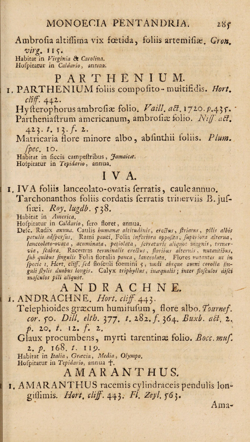 MONGECXA PENTANDRLA. itif AmWofia altiffima vix fetida, foliis artemife. Gron, virg. i i f. Habitat in Virginia dt Caro lina. Hofpitatur in Caldario, annua-.' PARTHENIU M. i, PARTHENIUM foliis compofito- multifidis. Hort. cliff. 442. Hyfierophorus ambrofiae folio, Va ili, att, 1726./>.43 f* Partheniaftrum americanum, ambrofias folio. Niff. acR 413. t, 13. /. 2. Matricaria flore minore albo, abfinthii foliis. Pium, fpec, 10. Habitat in ficcis campeftribus, Jamaka. Hofpitatur in Tepidario, annua, I V A. I. IVA foliis lanceolato-ovatis ferratis, caule annuo. Tarchonanthos foliis cordatis ferratis trinerviis B.juf- ffei. Roy, lugdb. 5*38. Habitat in America. Hofpitatur in Caldario t fero floret, annua, Dele. Radix annua. Caulis humane? altitudinis, erectus, ftriatus, pilis albis patulis adfperfiis. Rami pauci. Folia inferiora oppofita, fuperiora alterna, lanceolato-ovaia , acuminata, petiolata , Jefraturis aliquot magnis, inner¬ via, fcabra, Racemus terminalis erectus, floribus alternis, nutantibus, fub quibus fmgulis Folia floralia , lanceo lata. Flores nutantes ut in fpecie i, Hcrt. cliff. jed flofculi foemini 5, nudi absque omni corolla fin- guliftylis duobus longis. Calyx triphyllns, incequalis; inter flofculos djfci mafculos pili aliquot. ANDRACHNE, i.ANDRACHNE, Hort, cliff 443. Telephioides grtecum humifufum , flore albo. Pournef. cor. fo. Dill, eltb. 377, 282./, 364. Buxb. ^£7, 2. />. 2Q. A 12. /. 2. Glaux procumbens, myrti tarentinse folio. Bocc.muf, 1, p, 168. t. 1 ip. Habitat in Italia , Gracia, Media, Olympo. Hofpitatur in Tepidario, annua 4. AMARANTHUS. I, AMARANTHUS racemis cylindraceis pendulis lon- giffimis. ife/, cliff, 443, FI, Zeyl, f6 ], Am a-