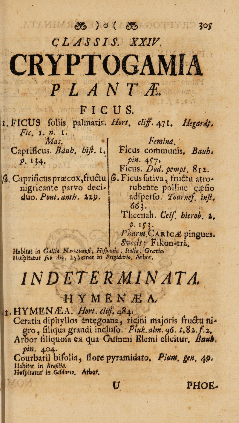 <2$ ) o ( <3£> CLASSIS. XXIV. 3°f CRYPTOGAMIA PLANTA • *■ . «f, PICUS* I * FICUS foliis palmatis. i&r/, tliff. 47 i * Hegardf, Fic, 1. ». r* , Femina, Caprificus* Bduh> hifi. i* />. *?4- !$v Caprificus pr^cOX,fi nigricante parVo deci¬ duo* Pont * anth. &ip. Ficus Communis* Rauht pin. 4^7* Ficus. Dod, pempt. 81 i. 0. Ficus fativa, fruftu atro* rubente polline c it fio ndfpeifo. Tournef. irifi* 66 \. Theeilah. Celf, hkrob, i* /• ‘f 3- P/Mm,CAntc.c pingues* S&cliy Filcdn*tra* UabiCAt iti (jallid Idarbo-H&ifi , Hifpmna, Italia, Gratia» JL M H 1/1 rr». r / [ »  ' 7 - HofplSatut /w4 <&'«, hybefriat iri Frigidario. Arbor H Y M E N iE A, L HYMENE Ai 484,. - Cefatia diphyllos aiitegoana^ ridiii majoris fru&ti tfi* gro 1 Aliqua grandi inclufo. Pluk.alm. 5«^. 8&./U,. Arbor filiquofa ex qua Cummi Blcmi dicitur, Raui/e pin. 404. Courbaril bifolk* fi ore pyramidato* Pium, gen, 40* Habitat iit UrajiilA* Htipitatiif in Caldario. AtW‘, e PHOE-
