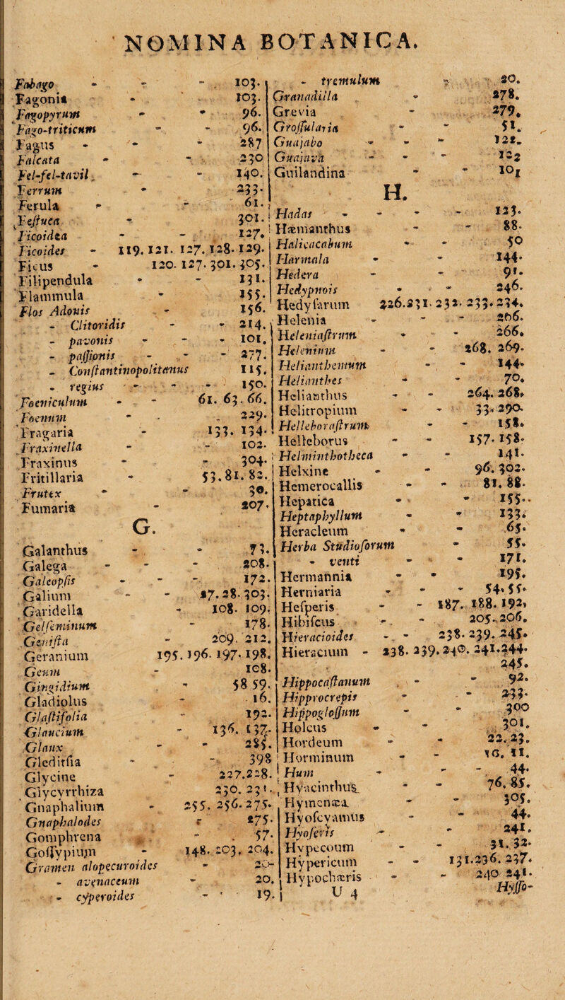 Fab ago Fagonia Fagopyrum Fago-triticum Fagus falcata Fel-fel~tavil i Ferrum Ferula fdejiuca Ficoidta Ficoides Ficus Filipendula Flammula Flos Adonis - - Clitoridis - pavonis - pajjipnis - Conftantinopo litemus regius - - Focnicuhtm Foenum Fragaria Fraxinei l a Fraxinus Fritillaria Frutex Fumaria - tremulum Gran adiila Grevia Grojfulaiia Guajabo  Guajavh Guilandina , 20. «78. 279. 5*. 12*. I22 iox H. Hadas Hsmanthus Heilicacabum Harmala Hedera Hedypnois Heciy larum Helenia FLeleniaftnnn Helenium 125. 88. 50 144* 9,. . - 546. 226.231- 232. 233.234. 2f)6. . - 266. s6g. 269. 33» 134- 304. 53.81. 82. 30. 207. G. Galanthus Galega Galeopfs Galium Gavidella Gei feminum Gznijia Geranium Geum Gingidium Gladiolus Glajlifolia Glaucium Glaux Glcditiia Glycine Glycyrrhiza Gna phalium Gnaphalodes Gomphrena Godypuim Gramen alopecuroides - avenaceum - cyperoides 73. 208. 172. 27. 28 303- - Io8- 109. 178- 209.212. 195. 197-198. ic8. 58 59. 16. 192. 13*. 137* 2S5. 398 227.228. 230. 231. 255. 256.375. *75- . 57- 148, 203, 204. - 20- 20. - * 19. Heliiintbenmm 144. Heliantbes 70. Hcliantlms 264. 268» Helitropium 33.290. Helleborafirum 15** Helieborus 157.15*- Helinintbotbeca 141. Helxine 96. 392. Hemerocallis » 81.86» Hepatica I5S-- Heptaphyllunt - 133; Heracleum - 05* Herba Studioforum 55. - venti I7G Hermanni* - 195. Herniam Hefperis Hibifcus Flieracioides Hieracium - - . V‘ Flippocaflanum Hipprocrepif Hippoglpflum Hplcus ( Hordeum ' Hor minum | Hum | Hyacinthus, Hymen «a Hyofcvamus Flyo feris Hvpecoum Hypericum Hypochferis U 4 . - - 54» 5 5* - 187. 188.192» 205.206. - - 238.239.245. 238. 239.2-1©. 241.244. 245. 9 2. 233. 300 301. 22. 23. TG. fi. 44. 76. 85. 3°5. 44. « . 24^. 31.32- - - 131.236.237. 240 44*. Hyf°-