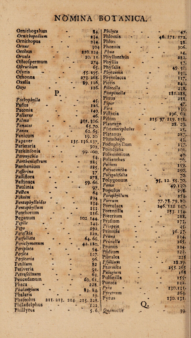 Ornithogalum Ornithopodium Ornithopus Ornut Orobus Orvala Olteofpermum Oftruthion Ofyris Otnonna Oxalis Qxys Pachyphylla ffydus Paeonia Paliurus Palma Panaces Panax Panicum Papaver Parietaria Parkihfenia Paronychia Partbeniaflyum Parthenium PaJJerina Pamflora Paftinaca Paulinia Peften Pekairn PentapbyHoides Pentaphyljum Penthorum Peganum p. Pepo Pewfkia Per foliata Periclymenum Periploca Perfica Perjicaria Petilium Peti ver i a Petrofdinum Peucedanum Phaca Phalangium Phalaris Phaleolus Philadelphus Phillyrea «4- *34. 2?4- 504 220.324. 10, 11. 374- <55. 55-W 275- 268. «9.1 l6. 116. 45. It6. *49. - 46. JOf. 306. <5J.7o. - 62.65. 19. 20 I3f. 116.137. 302; 99. *oo. 54, 28; 37. • «78. 59. 66. ’ 97. 64 294 134. *??• It 6. 102 144. 143. 292. 122, • 64. 66. 42.180. 54. - 127. 96. 82 91. - * 6 3.  60. 61. 228. 83- 84. ' - 19.' 214. 215. 228. ,12 2. % 5-6. Philyca Phlomis Phlox Phoenix Pbna Phyllanthus Phyllis Phy falis Phytcuma P&ytolagca Picris Pilocdla Ptmpimlla Finu.s Piper Pira Pittacia Pilum Plantago Platanoeepbalus Platanus Plumbabo <3 Podophyliiun Poincianu Polemon ium Polianthes Polium Polyacantba Polygolifolia Polygonum Poma Populus f Porophyllum Porrum Portulaca Porentiilt Poterium Pr alium Priapeja ‘Primula Prima Pr irnella. Prunus Pjjdium Plbralca Pfyllium Ptarmica Pulegium Pulfatilla Puntca Pyra Pyntvnm Pyrus Qnamoclit Qi ‘47* 46. 171. 172. 38. - 306. M. 282. 57* • 49-50. ♦ UO. H7. 241» 238. i8i>388* 288, 47. i;c. 296. 69. 315.97.219. 228, 38.'29, 25. 287,. 43. 137^ lOt. 4©. - >t6 159. 250, 70. 95- 12- 55.IO. 4.9,150. 298. 254, 77- 78-79. 80. 146.122.147. 153- 134* 288. 173. 45. 56.37. 124. 16*. 134. 122. 2?5 28.29, 255.265 - 168 155- I2U. ISO.!;!. 264. 130. I3I. • - 39-