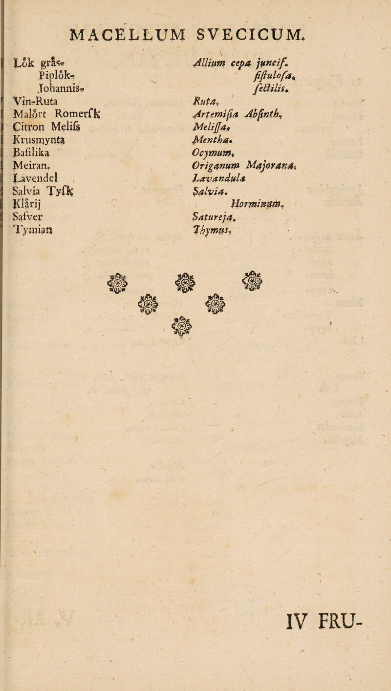 Lok gris* Piplok® .Tohannis- Vin-Ruta Malort Romerfk Citron Meliis Krusmynta Bafilika Meiran. Lavendel Salvia Tyfk Safver Tymian Allium cepa juncif. fifiulofat, feti ilis» Ruta» Arternifia Abjintb* MelijJat Mentha» Gcymum♦ Origanum Majorana^ Lavandula Salvia. Horminum» Satureja, Jhymus? J§! »iup -J&i. & 'W*