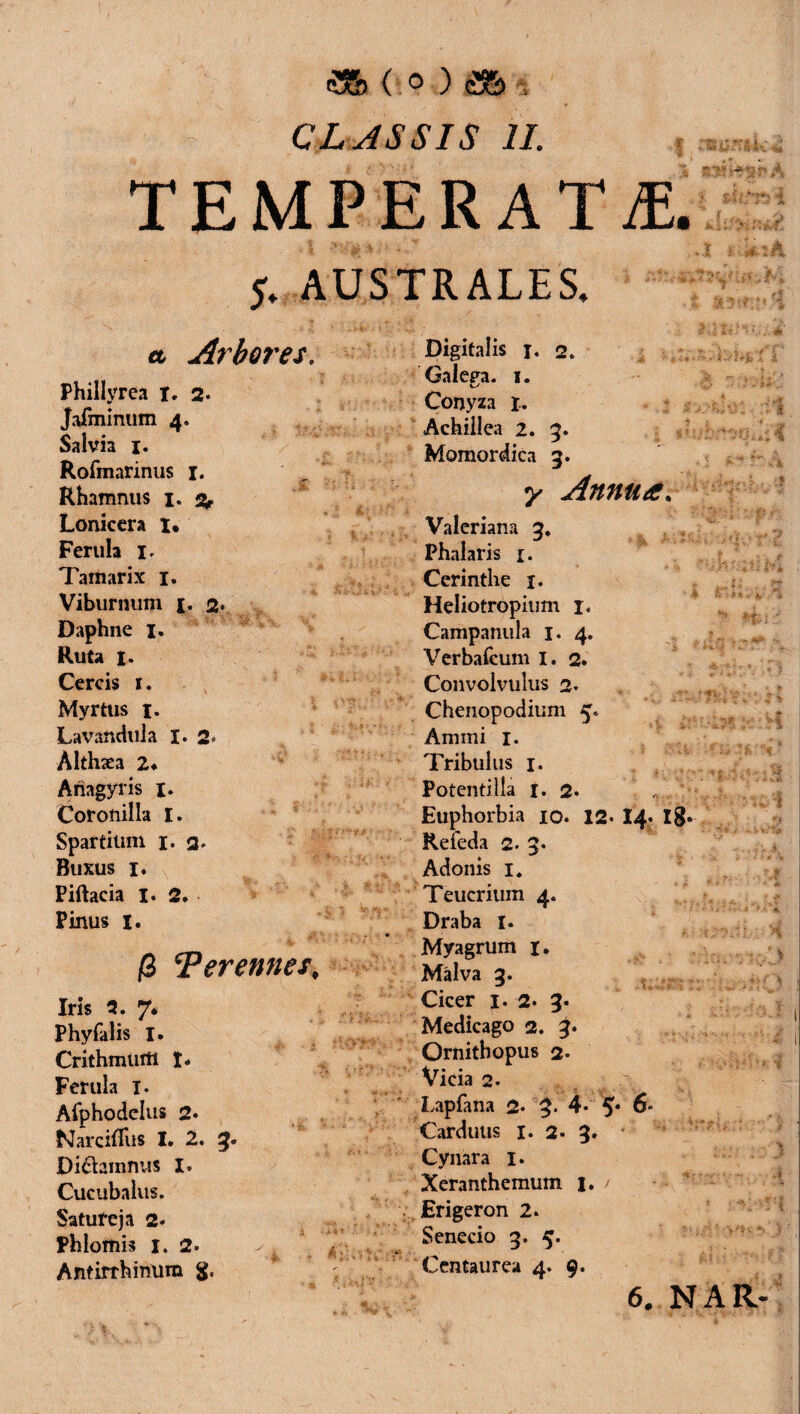 CLASSIS II. TEMPERATE AUSTRALES. a Arbo7%es. Phillyrea x. 2. Jafminum 4. Salvia 1. Rofmarinus 1. Rhamnus 1. Lonicera 1. Ferula 1, Tamarix 1. Viburnum x. 2- Daphne 1. Ruta 1. Cereis 1. Myrtus I. Lavandula X» 2 Althsea 2« Afiagyris 1. Coronilla I. Spartium 1. 3. Buxus 1. Piftacia I. 2. Pinus X. (3 Terennes, Iris 9. 7* Phyfalis I. Crithmtitti t* Ferula 1. Afphodelus 2» Narciffus I. 2. 3. Di&amnus x. Cucubalus. Satureja 2« Phlomis 1. 2. Antirrhinum g. Digitalis j. 2. Galega. 1. Conyza x. Achillea 2. 9. Momordica 3. y Annua. Valeriana 3, Phalaris x. Cerinthe x. Heliotropium 1« Campanula 1. 4. Verbafcum I. 2. Convolvulus 2. Chenopodium 5. Animi 1. Tribulus 1. Potenti lia 1. 2. Euphorbia 10. 12. 14. 18* Refeda 2- 3. Adonis I. Teucrium 4. Draba 1. Myagrum 1. Malva 3. Cicer 1. 2* 3* Medicago 2. 3. Ornithopus 2. Vicia 2. Lapfana 2. 3- 4* 5‘ 6- Carduus 1. 2- 3. • Cynara 1. Xeranthemum 1. / Erigeron 2» Senecio 3. 5. Centaurea 4. 9. 6. NAR-