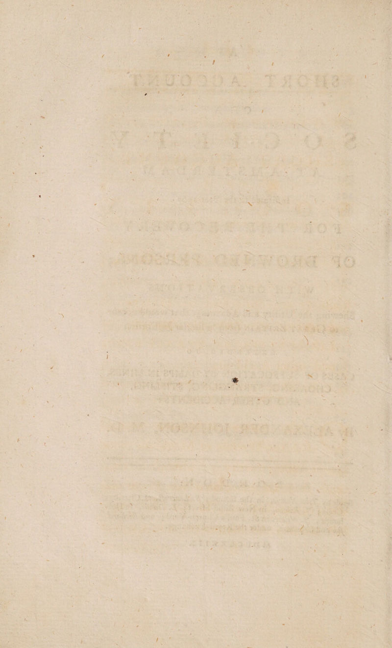 / / f t 7 i % 1 ‘i /■ ( yt * f # ) / ✓ i * I x/ > . /