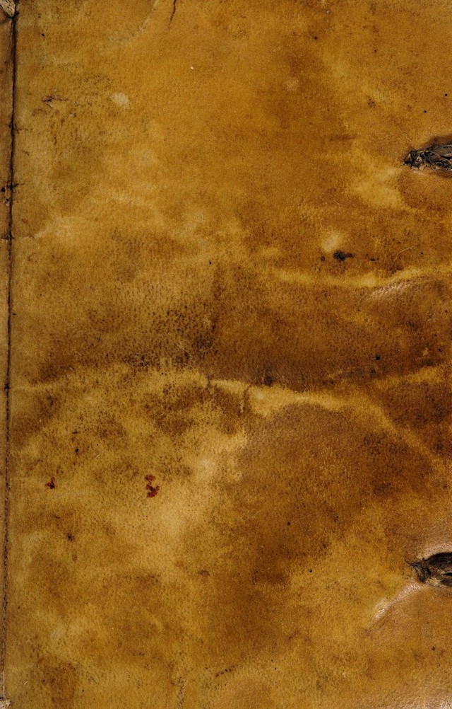 digitised image 1