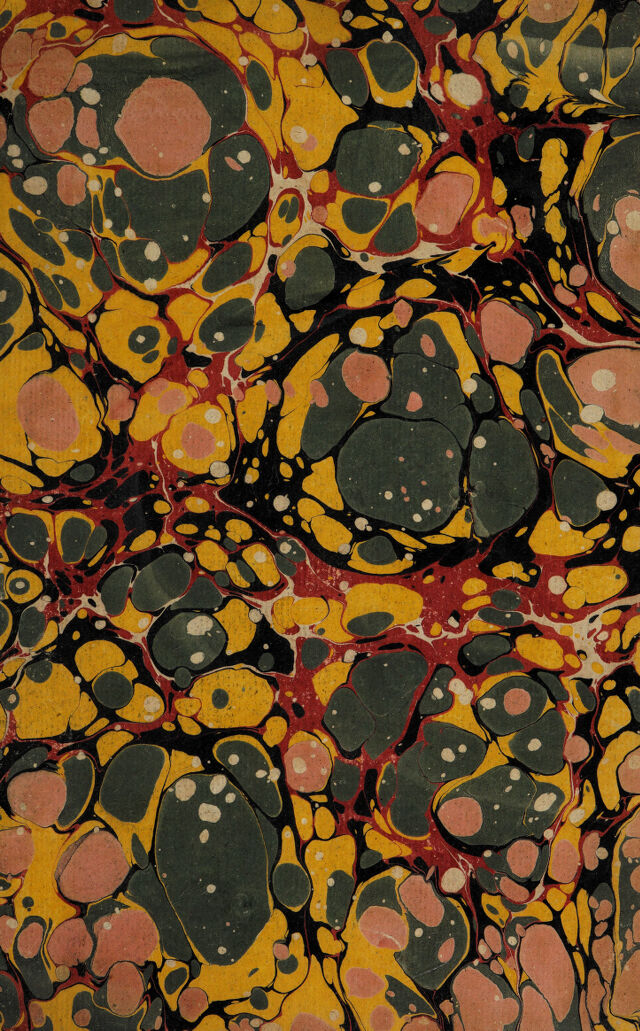 No text description is available for this image