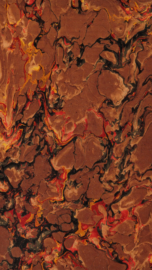 No text description is available for this image