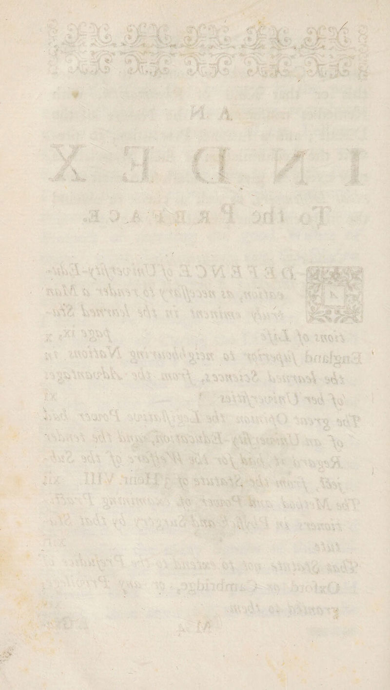 ■ * , Vi ‘' ■ . \ • vv-'- ■ • , - ^ A . .■ V. A :■ A . ; vi' - ■ : . ' \ v.- .. . < ' , ■ - ,;ij - ^ .. ■