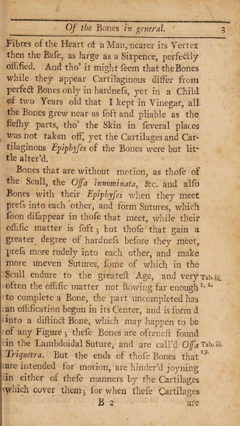 Fibres of the Heart of a Man, nearer its Yertex then the Bafe, as ]arge as a Sixpence, perfectly offified. And fho’ it might feem that the Bones while they appear Cartilaginous differ from per fed Bones only in hardnefs, yet in a Child or two Years old that I kept in Yinegar, all the Bones grew near as foft and pliable as the fiefhy parts, tho’ the Skin in feveral places was not taken off, jet the Cartilages and Car¬ tilaginous Epiphyfes of the Bones were but lit¬ tle alter’d. , Bones that are without motion, as thofe of the Scull, the Of a innomtnaia, &c. and alfo Bones with their Epiphyfes when they meet prefs into each other, and form Sutures, which foon difappear in thofe that meet, while their offific matter is foft 5 but thofe that gain a greater degree of hardnefs before they meet, prefs more rudely into each other, and make more uneven Sutures, feme of which in the Scull endure to the greatefl: Age, and very Tab. Hi often the offific matter not flowing far enoughr* 2* to complete a Bone, the part uncompleted has an oliification begun in its Center, and is form'd i into a diftind Bone, which may happen to be of any Figure *, thefe Bones are ofteneft found in the Lambdoidal Suture, and are call’d Ofa Tab. iii. Triquetra. But the ends of thofe Bones thatZ9' are intended for motion, are hinder’d joyning dn either of thefe manners by the Cartilages which cover them * for when thefe Cartilages B 2 are