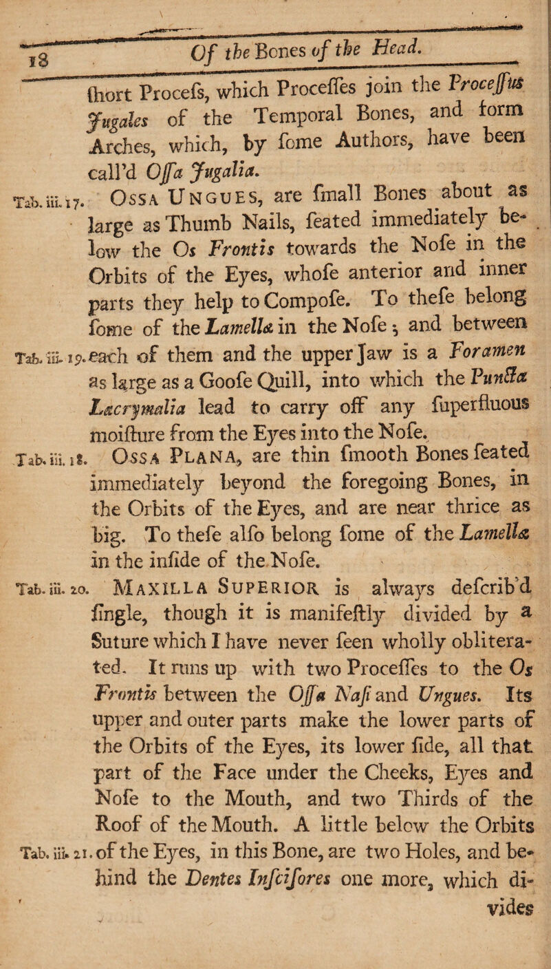 ftort Procefs, which Procefies join the Trocejfus Jmales of the Temporal Bones, and form Arches, which, by fome Authors, have been call’d Ojja Jugalia. Tab.in17* Ossa Ungues, are fmall Bones about as large as Thumb Nails, feated immediately be- low the Os Front is towards the Nofe in the Orbits of the Eyes, whofe anterior and inner parts they help to Compofe. To thefe belong fome of the Lamella in the Nofe ^ and between Tab/iEip.eadi of them and the upper Jaw is a Foramen as large as a Goofe Quill, into which the VnnBa Lacrpndia lead to carry off any fuperfluous moifture from the Eyes into the Nofe. Tab.iii.iS. Ossa Plana, are thin fmooth Bones feated immediately beyond the foregoing Bones, in the Orbits of the Eyes, and are near thrice as big. To thefe alfo belong fome of the Lamella in the infide of the Nofe. Tab.ill. 10. Maxilla Superior is always deferibd fingle, though it is manifeftly divided by a Suture which I hare never feen wholly oblitera¬ ted. It runs up with two Proceffes to the Os Frontis between the Ojfa Naji and Ungues. Its upper and outer parts make the lower parts of the Orbits of the Eyes, its lower fide, all that part of the Face under the Cheeks, Eyes and Nofe to the Mouth, and two Thirds of the Roof of the Mouth. A little below the Orbits Tab. iii. 2i. of the Eyes, in this Bone, are two Holes, and be* hind the Dentes Infcifores one more, which di¬ vides
