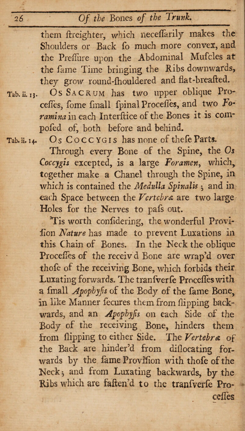 them freighter, which necelfarily makes the Shoulders or Back fo much more convex, and the Prefiure upon the Abdominal Mufcles at the fame Time bringing the Ribs downwards, they grow round-lhouldered and flat-breafted. Tab.ii.13. Os Sacrum has two upper oblique Pro- cedes, fome fmall fpinal Procefies, and two Fo- ramina in each Xnterftice of the Bones it is com* pofed of, both before and behind. Tab. ii. 14. Os Coccygis has none of thefe Parts. Through every Bone of the Spine, the Os Coccygis excepted, is a large Foramen, which, together make a Chanel through the Spine, in which is contained the Medulla Spinalis $ and in each Space between the Vertebra are two large Holes for the Nerves to pals out. TTis worth confidering, the wonderful Provi- ilon Nature has made to prevent Luxations in this Chain of Bones. In the Neck the oblique Precedes of the receiv d Bone are wrap’d over thofe of the receiving Bone, which forbids their Luxating forwards. The tranfverfe Procelfes with a fmall Apophyfs of the Body of the fame Bone? in like Manner fecures them from flipping back¬ wards, and an Apophyfs on each Side of the Body of the receiving Bone, hinders them from flipping to either Side. The Vertebra of the Back are hinder’d from difiocating for- wards by the fame Provifion with thofe of the Neck, and from Luxating backwards, by the Ribs which are fallen d t o the tranfverfe Pro- celfes