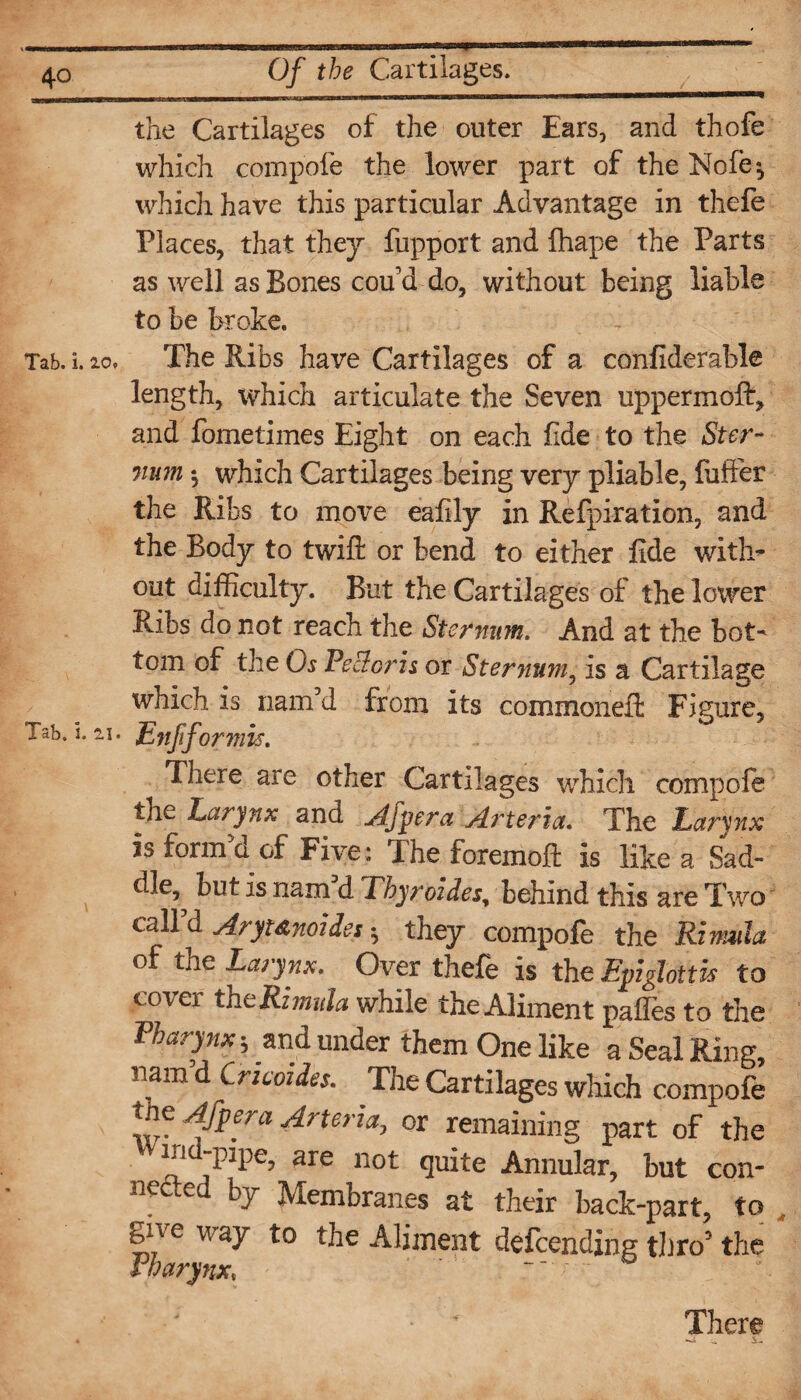 the Cartilages of the outer Ears, and thofe which compofe the lower part of the Nofe*5 which have this particular Advantage in thefe Places, that they fupport and lhape the Parts as well as Bones cou’d do, without being liable to be broke. Tab. i. 20. The Ribs have Cartilages of a confiderable length, which articulate the Seven uppermoft, and fometimes Eight on each fide to the Ster¬ num ^ which Cartilages being very pliable, fufFer the Ribs to move eafily in Refpiration, and the Body to twift or bend to either fide with¬ out difficulty. But the Cartilages of the lower Ribs do not reach the Sternum, And at the bot¬ tom of the Ch Pectoris or Sternum, is a Cartilage which is nam’d from its commonefl: Figure, Tab. i. 2i. Enfiformis. There are other Cartilages which compofe the Larynx and Afpra Arteria. The Larynx is form a of Five: I he foremoft is like a Sad¬ dle,^ but is nam’d Thyroides; behind this are Two call’d Aryt&noiis: ; they compofe the Rinmla of the Larynx. Over thefe is the Epiglottis to cover the Rijn ula while the Aliment palTes to the Pharynx-, and under them One like a Seal Ring, nam d Cncoides. The Cartilages which compofe the After a Arteria, or remaining part of the Wind-pipe, are not quite Annular, but con¬ nected by Membranes at their back-part, to , give way to the Aliment defcending thro5 the Pharynx, There • - S-