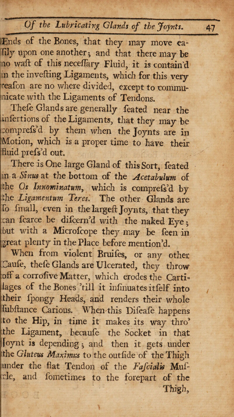 ,'Ends of the Bones, that they may move ea- fily upon one another; and that there may be 10 waft of this neceftary Fluid, it is contain’d ;n the invefting Ligaments, which for this very reafon are no where divided, except to commu¬ nicate with the Ligaments of Tendons. Thefe Glands are generally feated near the infertions of the Ligaments, that they maybe ;omprefs’d by them when the Joynts are in Motion, which is a proper time to have their fluid prefs’d out. There is One large Gland of this Sort, feated in a Sznus at the bottom of the Acetabulum of the Os Innominatum, which is comprefs’d by the Ligamentum Teres. The other Glands are To fmall, even in the largeft Joynts, that they can fcarce be difcern’d with the naked Eye 5 but with a Microfcope they may be feen in great plenty in the Place before mention’d. When from violent Bruifes, or any other Caufe, thefe Glands are Ulcerated, they throw off a corrofive Matter, which erodes the Carti- I tages of the Bones ’till it infinuates itfelf into | their fpongy Heads, and renders their whole ffiibftance Carious. When this Difeaie happens to the Hip, in time it makes its way thro’ tthe Ligament, becaufe the Socket in that jjfoynt is depending ^ and then it gets under [ the Gluteus Maximus to the outfide of the Thigh under the fiat Tendon of the Fafcialis Muf- rle, and fometimes to the forepart of the | Thigh,